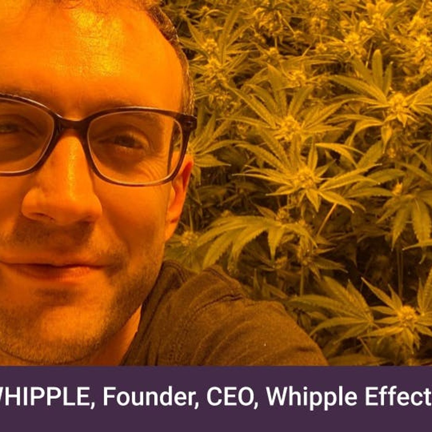 Thinking Outside The Bud