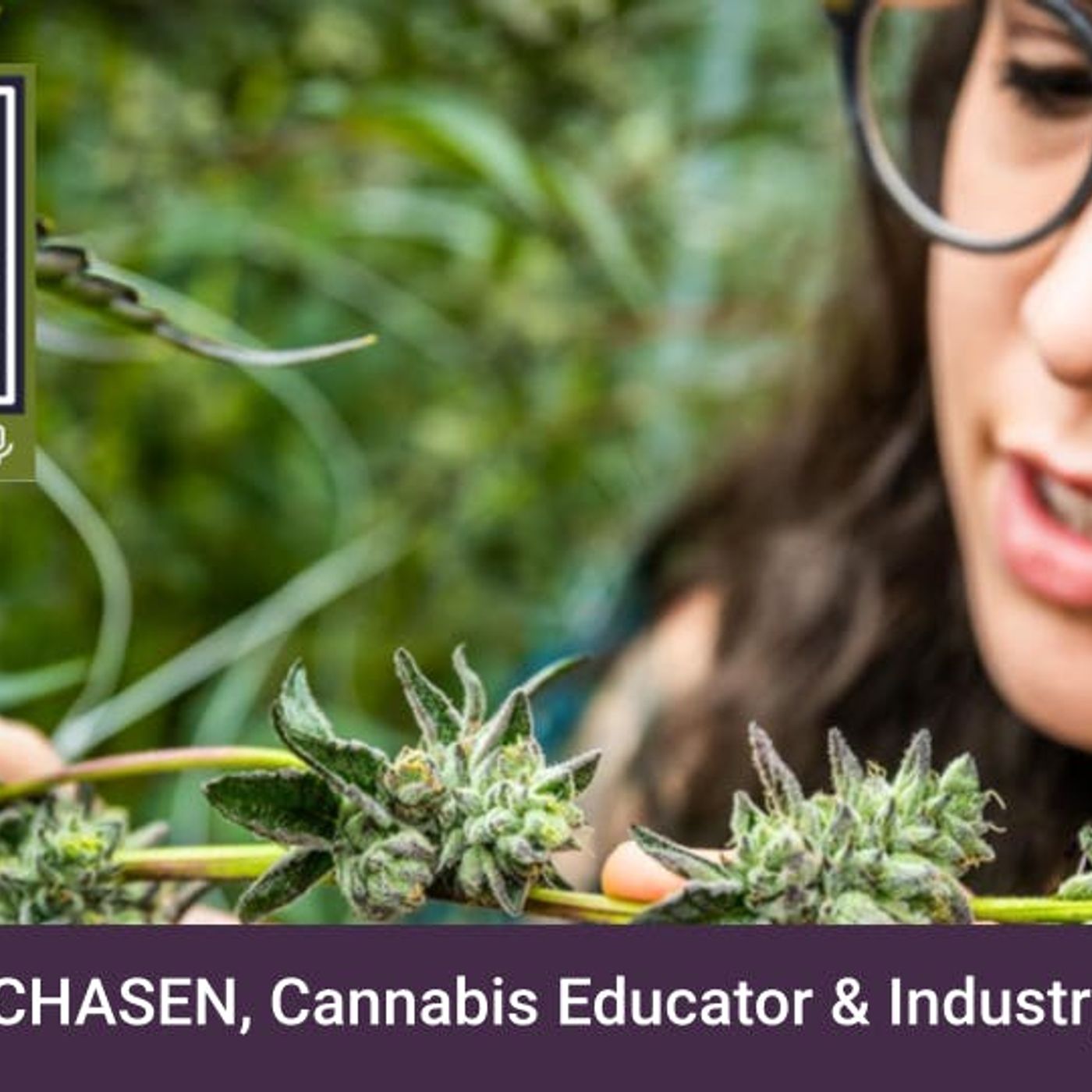 Thinking Outside The Bud