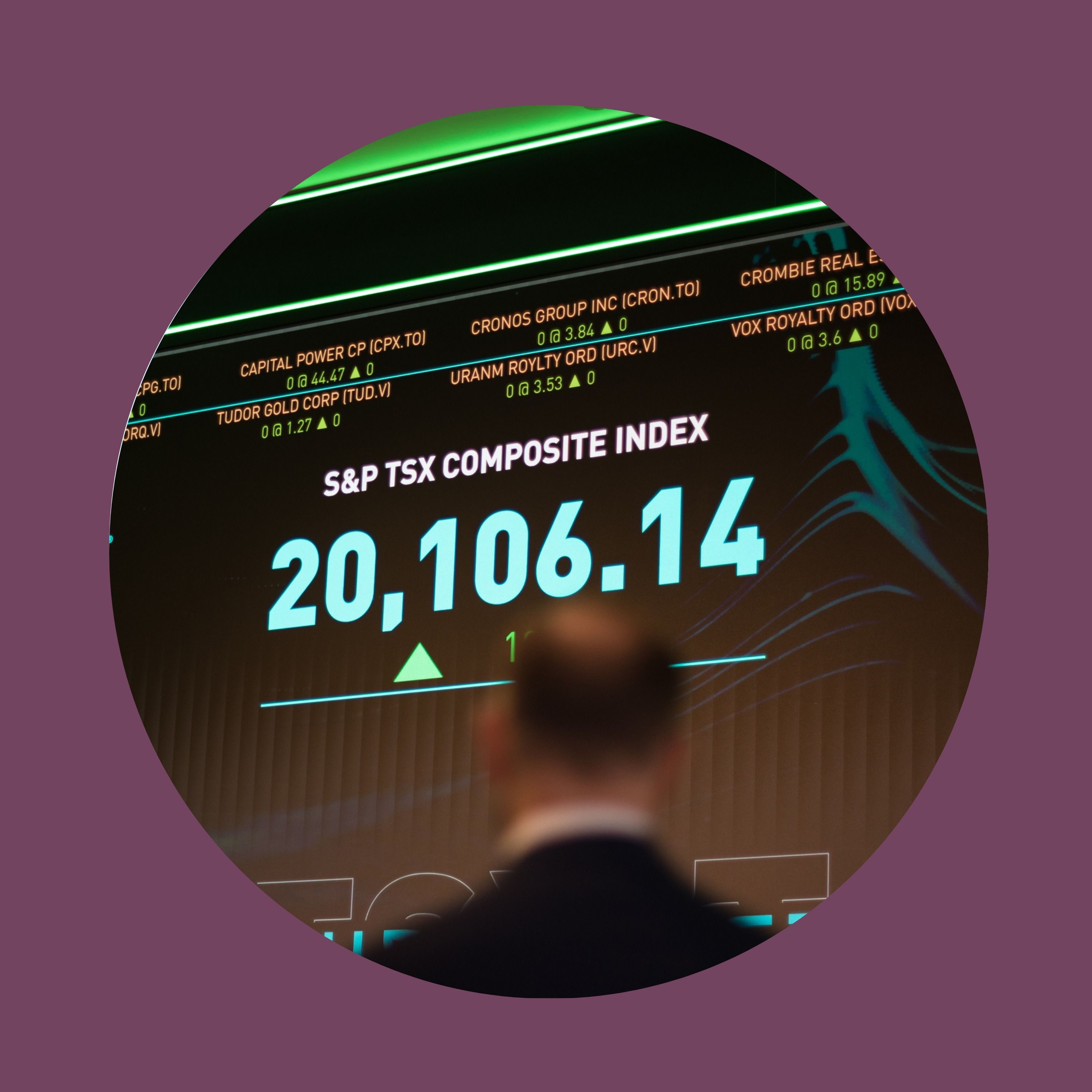 Making sense of a stock market that doesn’t make sense right now
