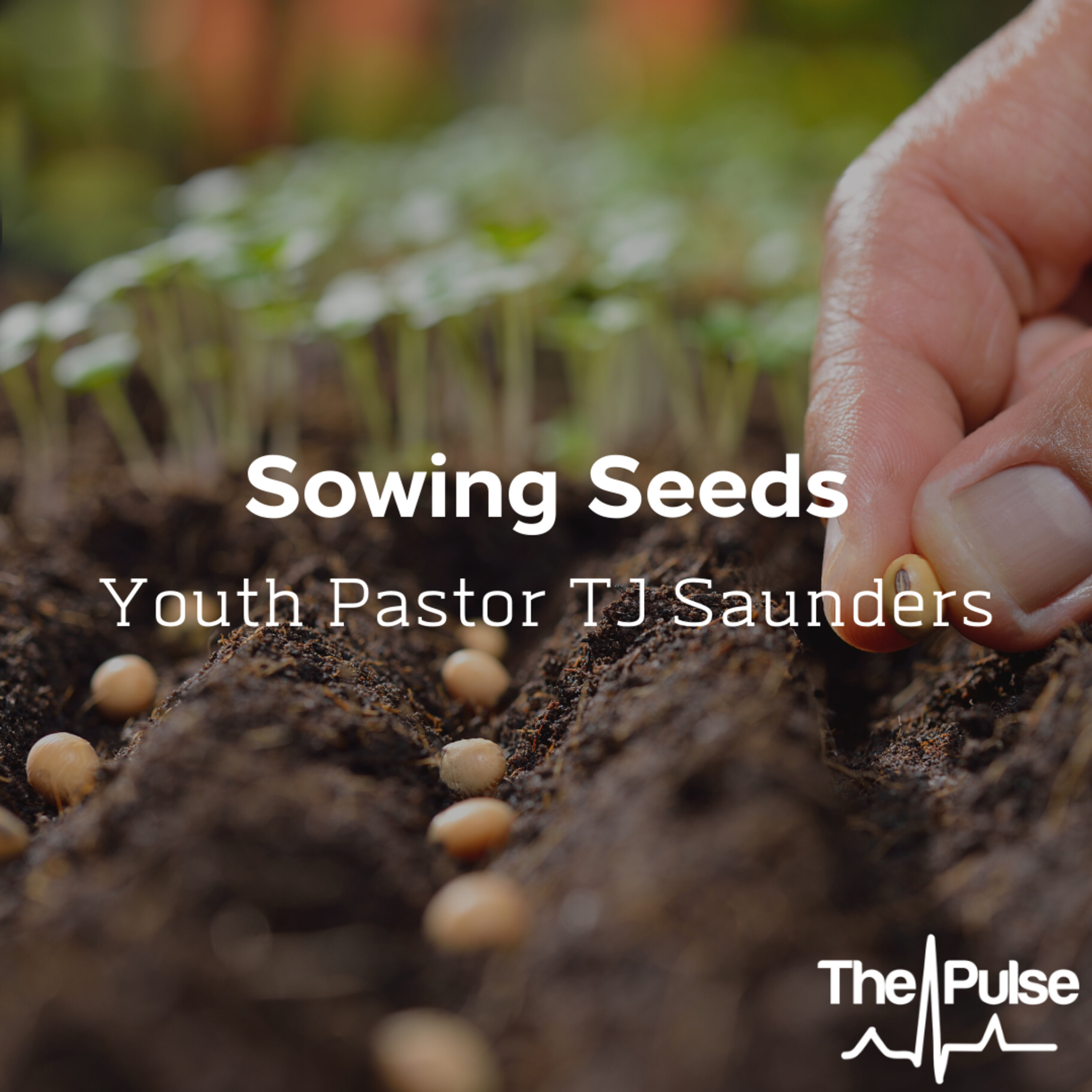 Winfield:  Sowing Seeds