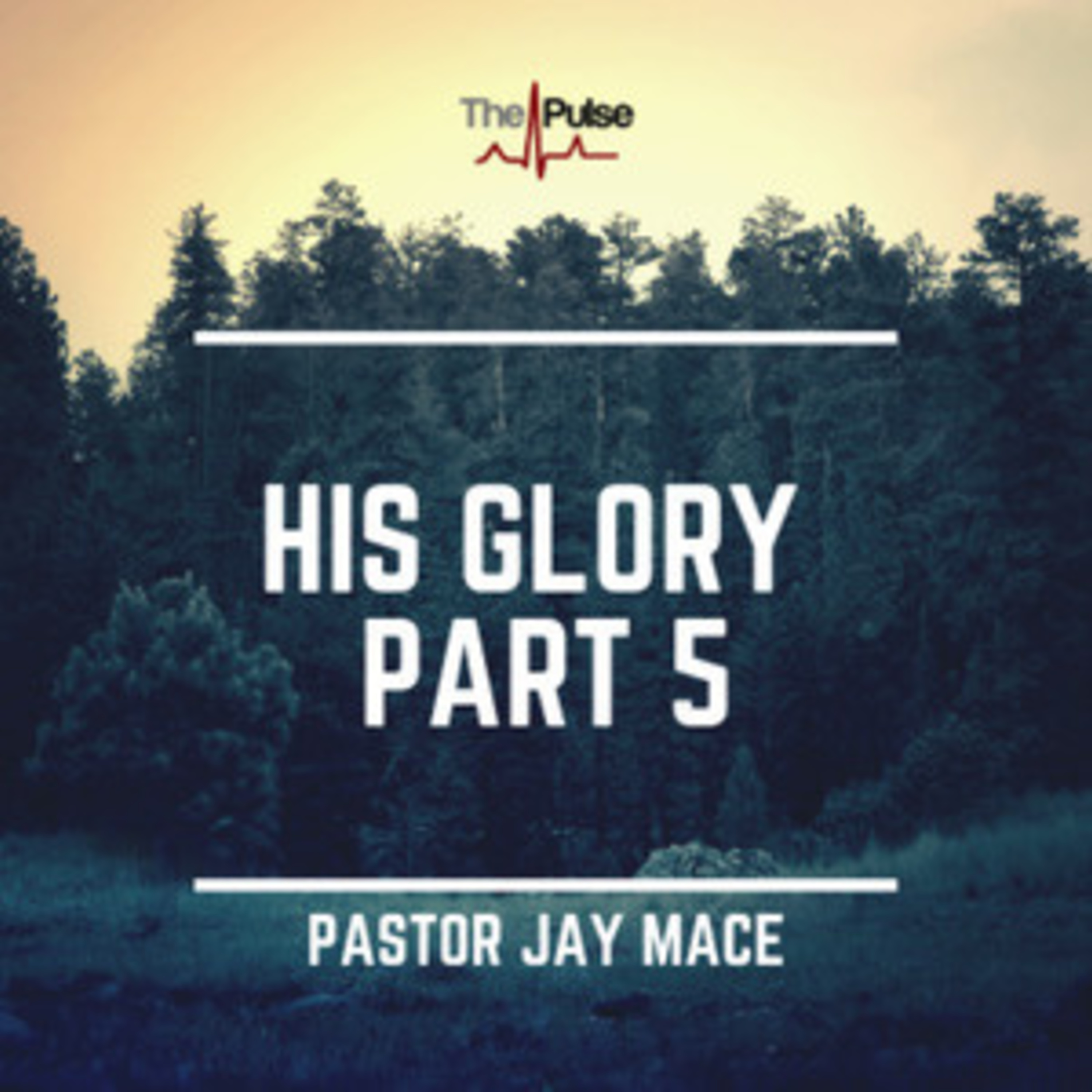 Winfield: His Glory Part 5