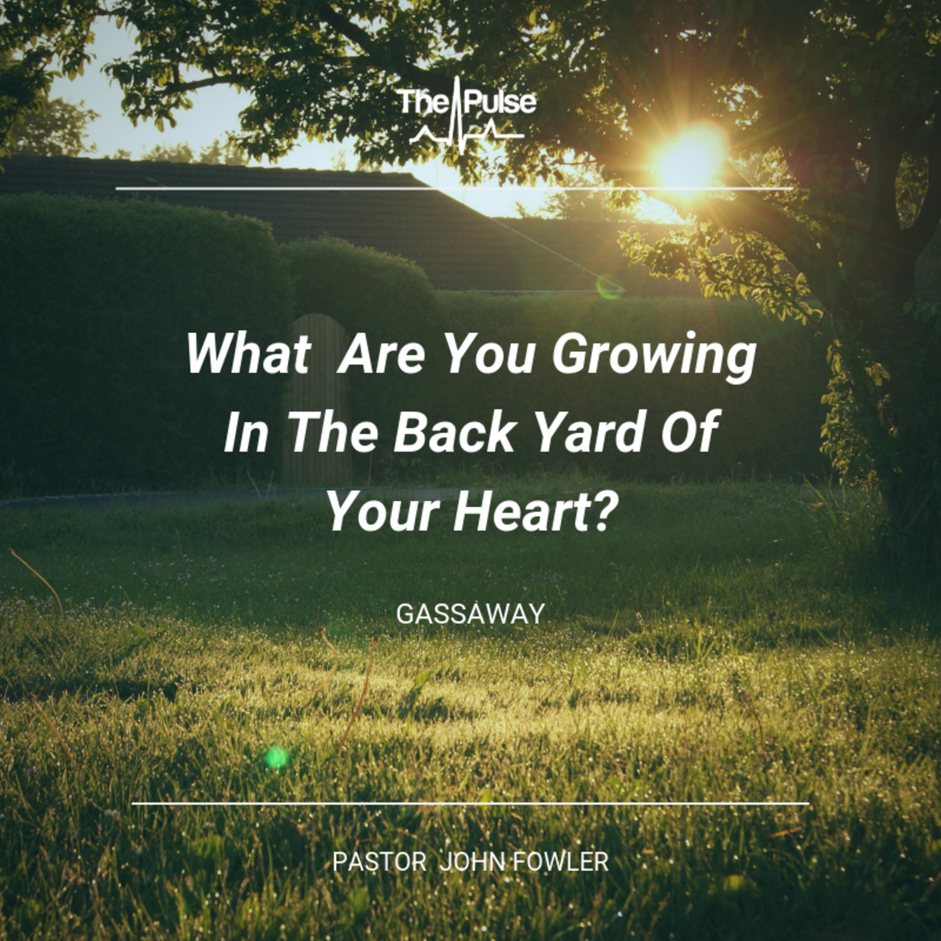 Gassaway: What  Are You Growing In The Back Yard Of Your Heart?