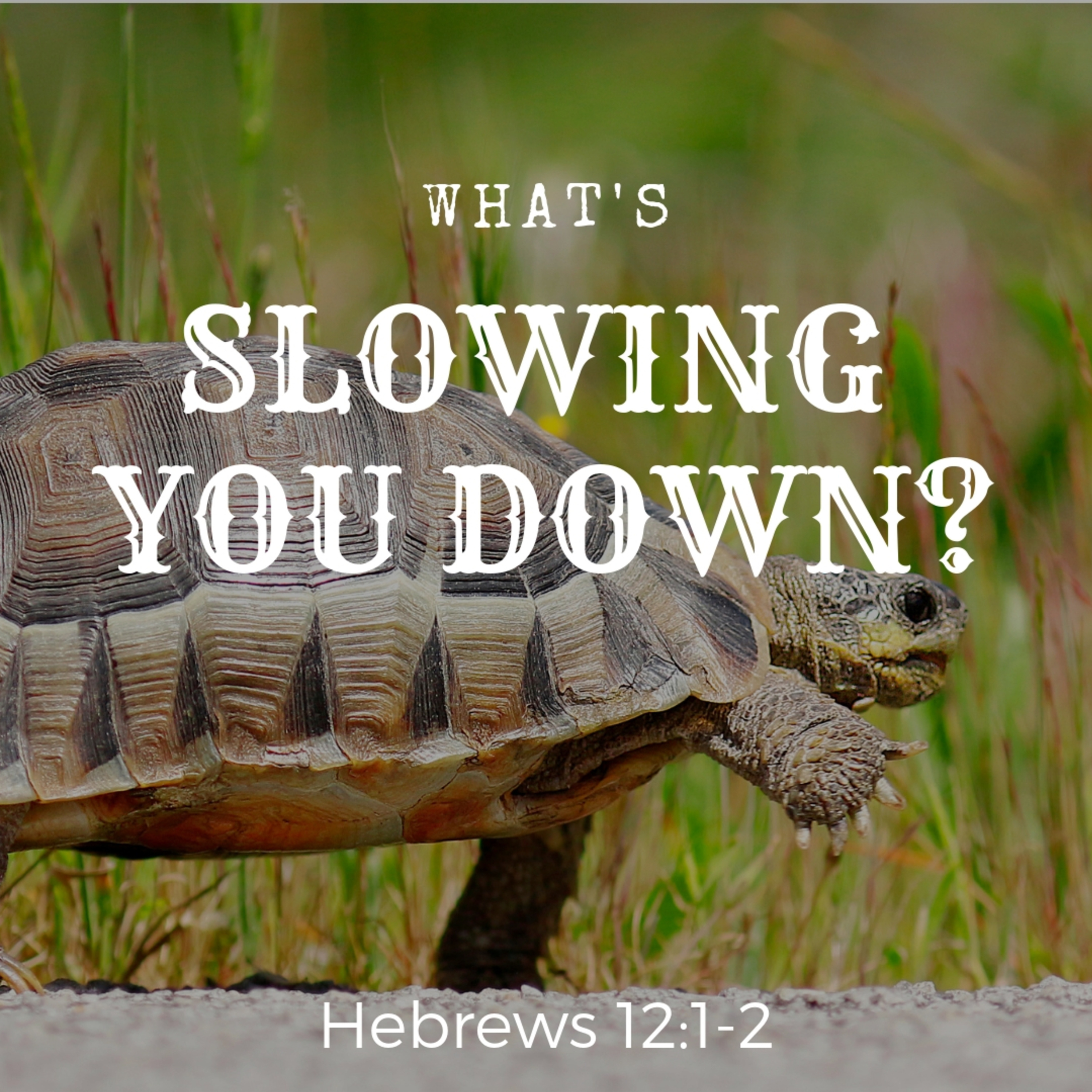 Gassaway: What's Slowing You Down?