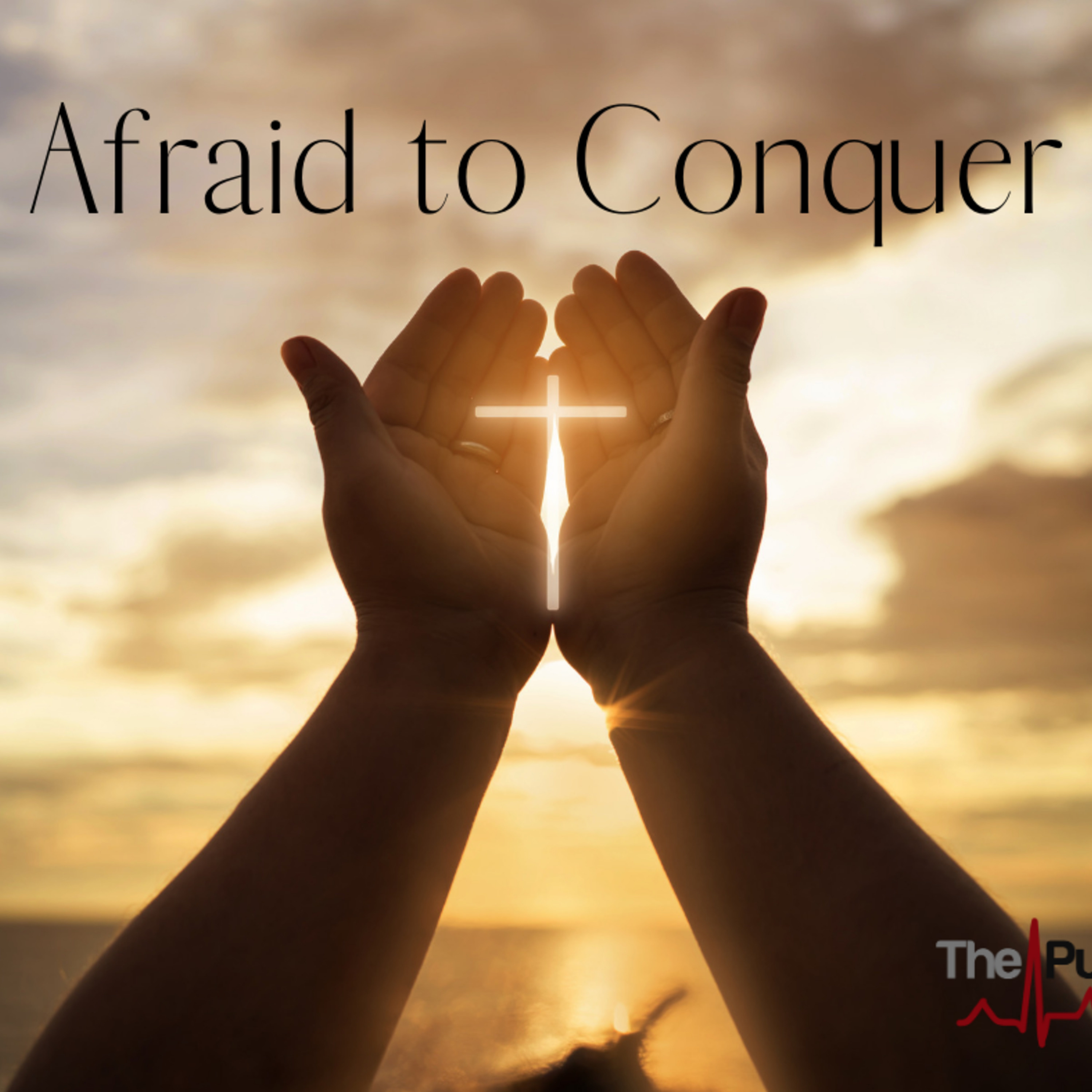 Winfield: Afraid to Conquer