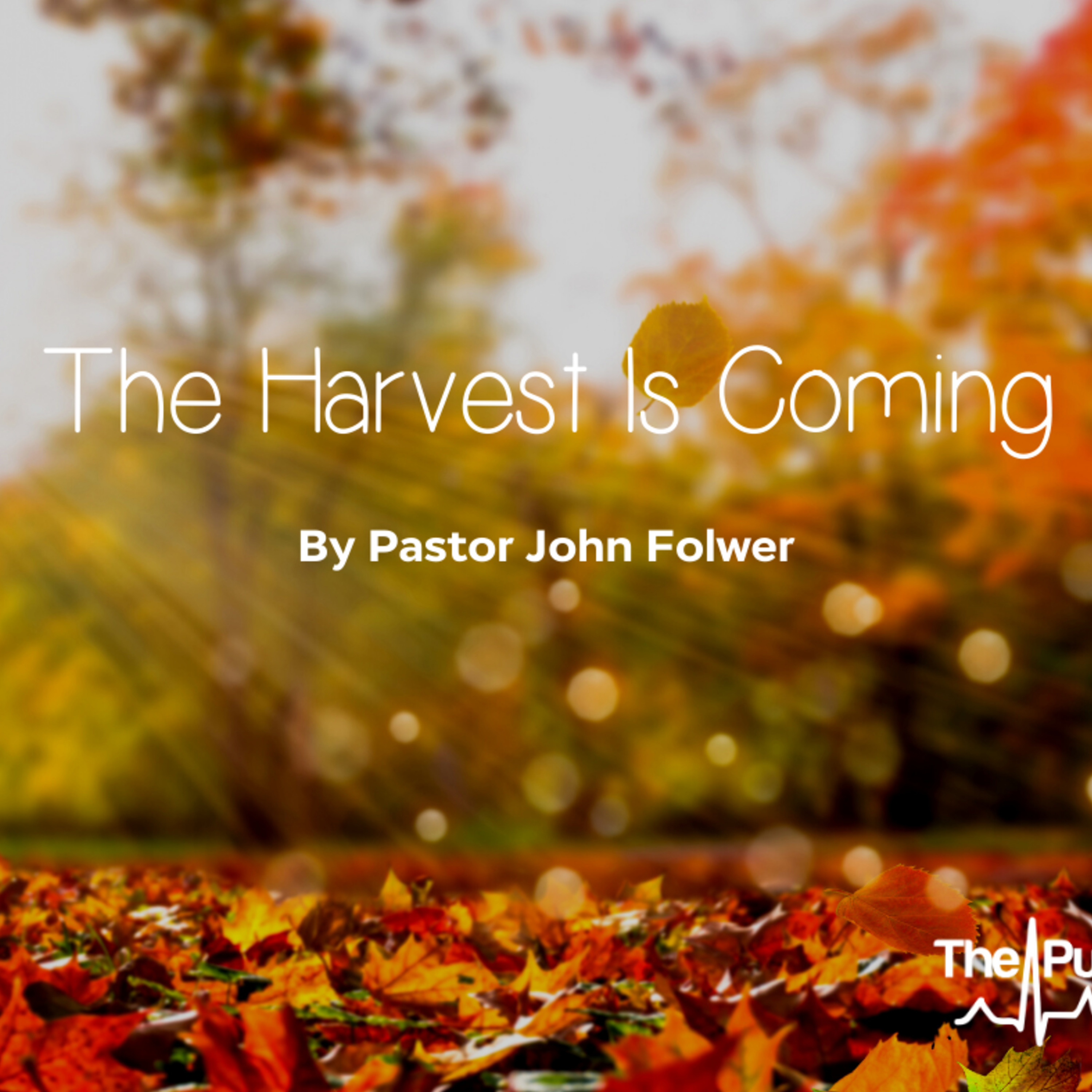 Gassaway: The Harvest is Coming