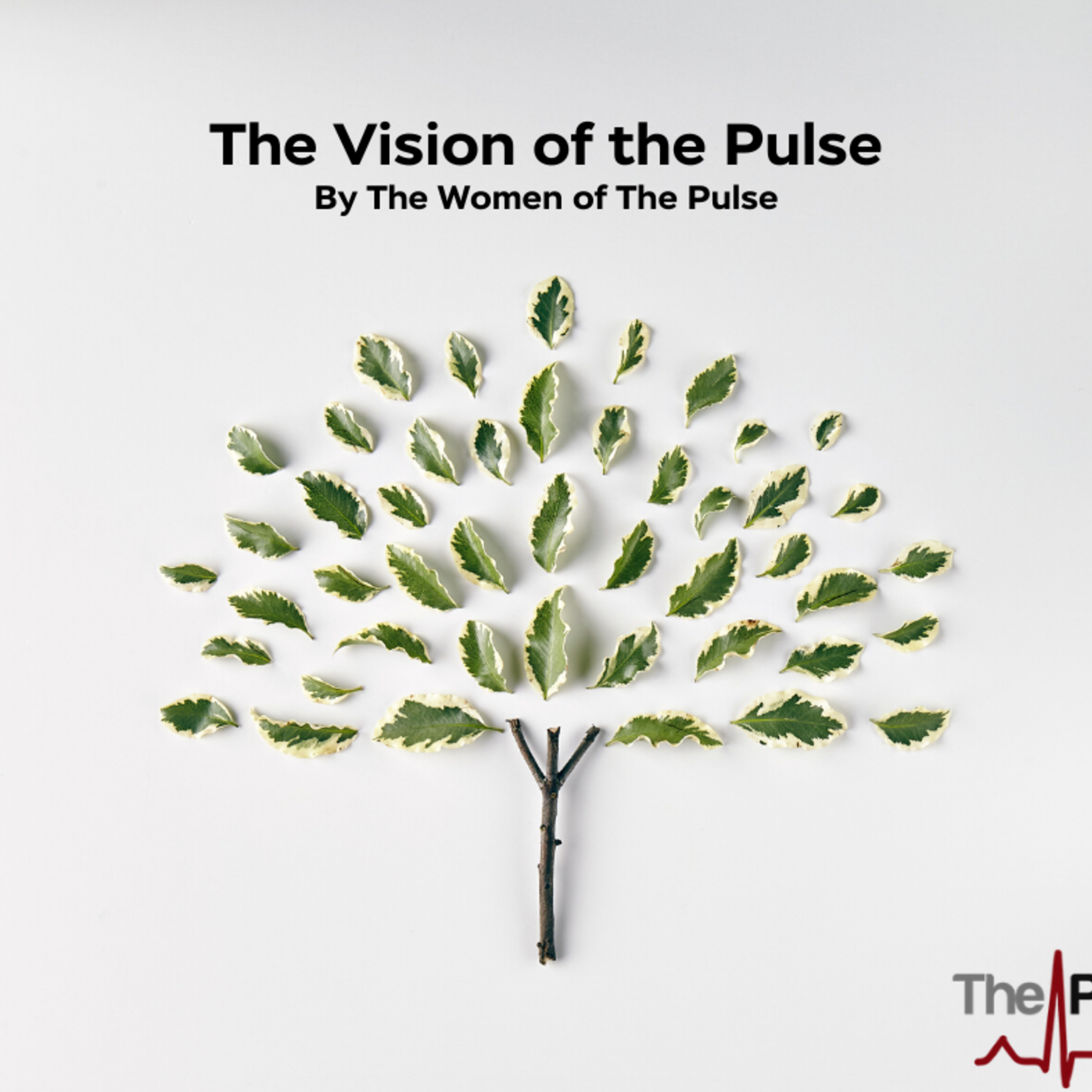 Gassaway: The Vision of The Pulse