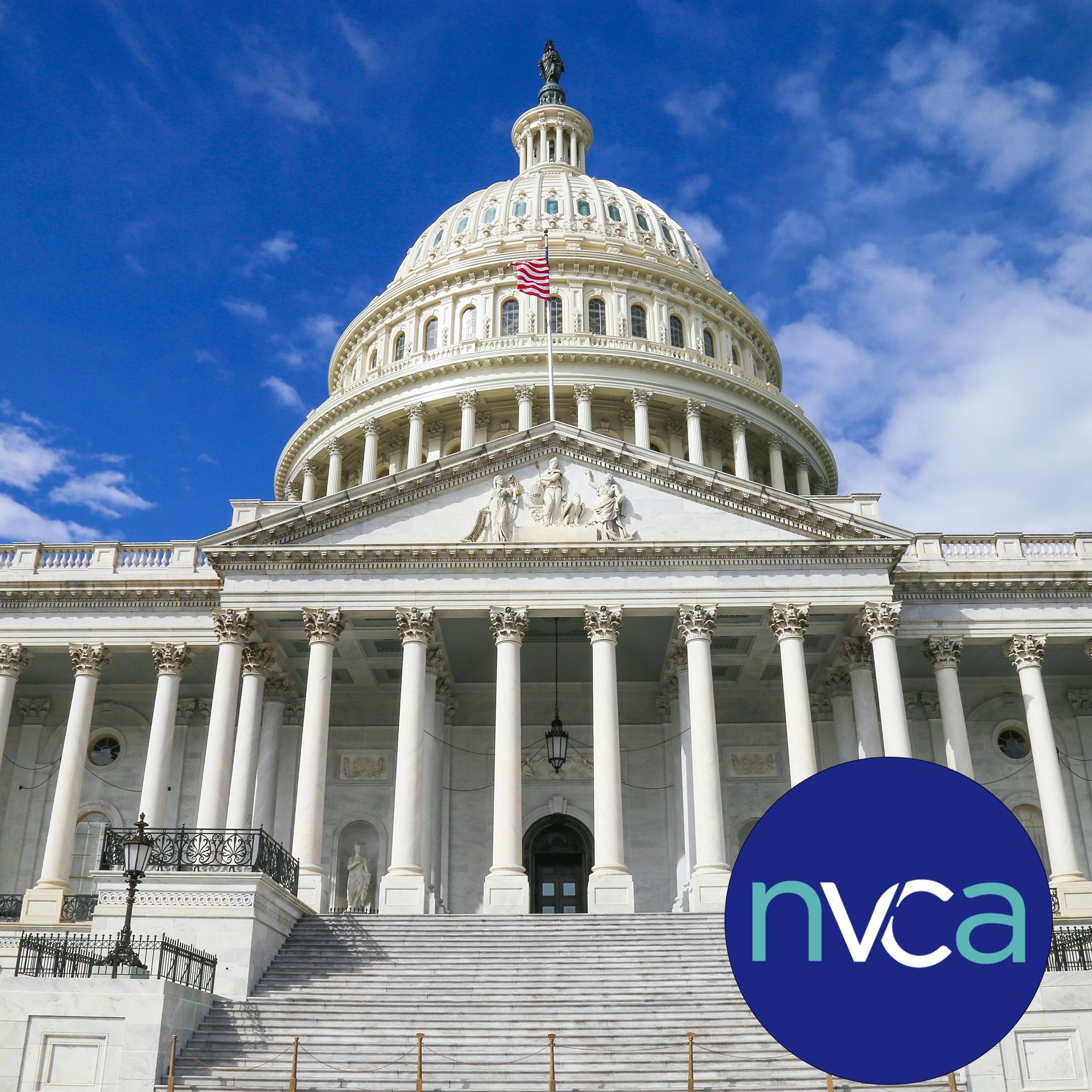 NVCA NVCA