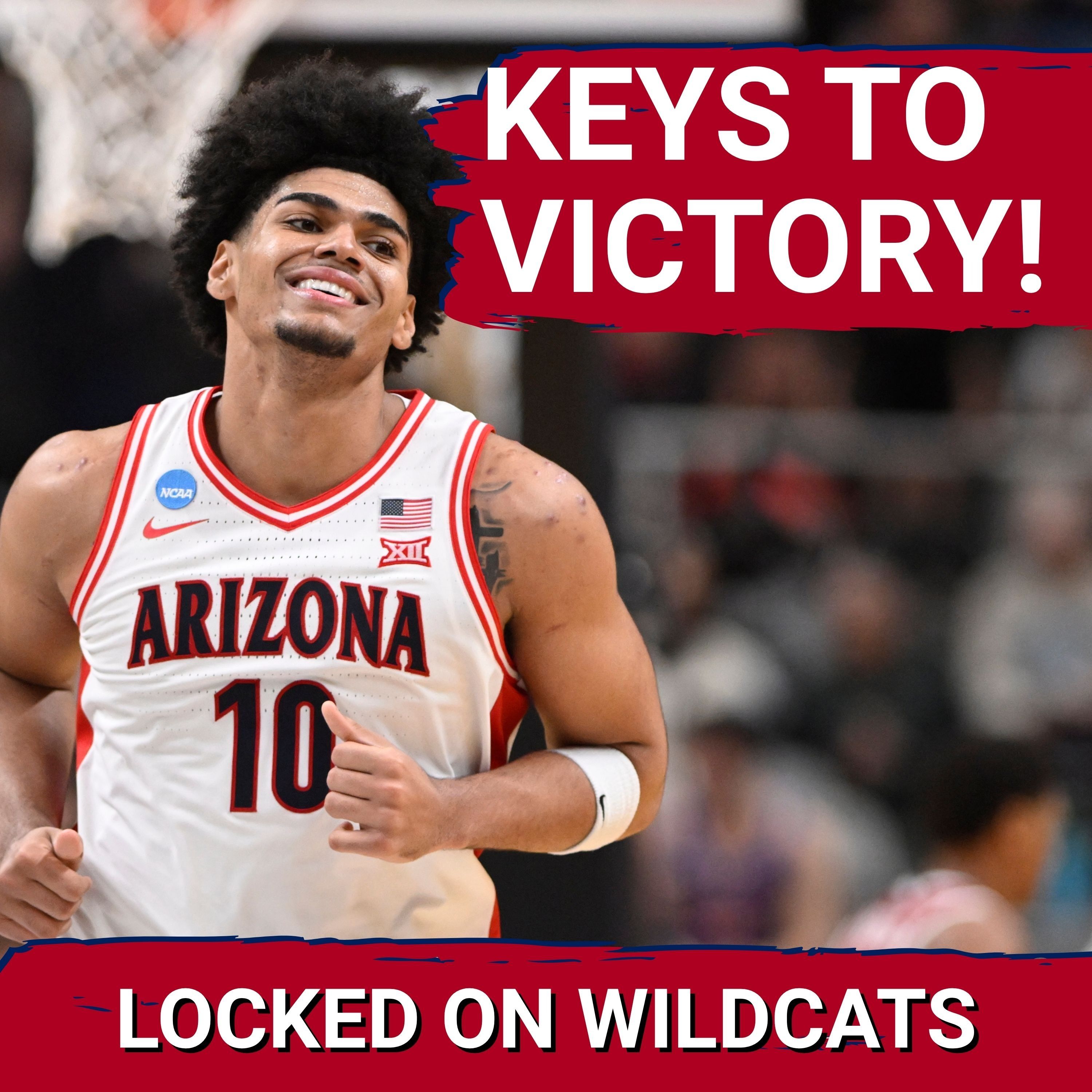 DEEP DIVE PREVIEW! Arizona Wildcats vs. Michigan—Paint Dominance DECIDES the Final Four