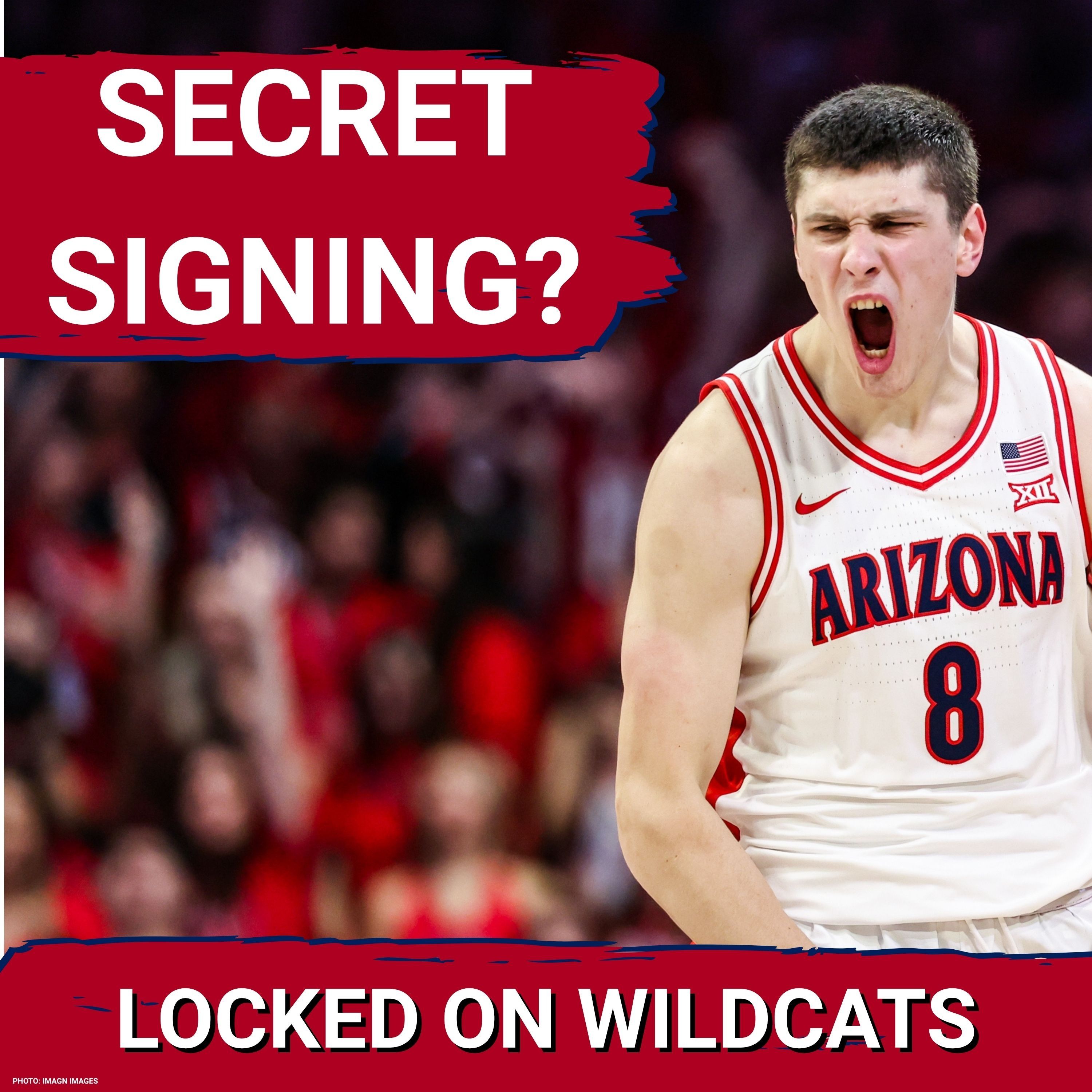 IMMINENT SIGNING? Arizona Wildcats HOLD OUT for Bakary Dibba to FILL Power Forward VOID episode artwork