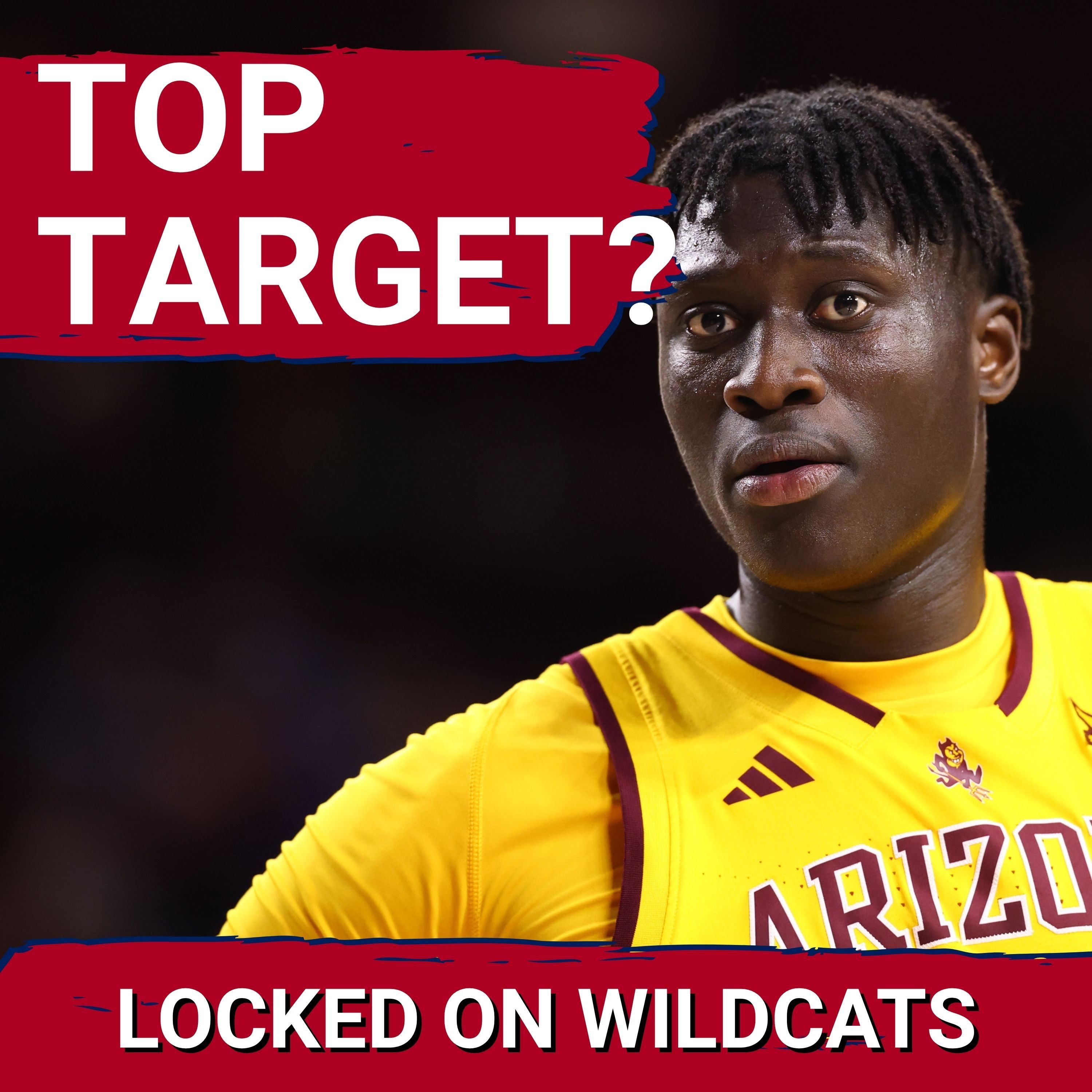 TOP TARGET: Arizona Wildcats MUST PUSH to Steal Portal’s Best Big Men