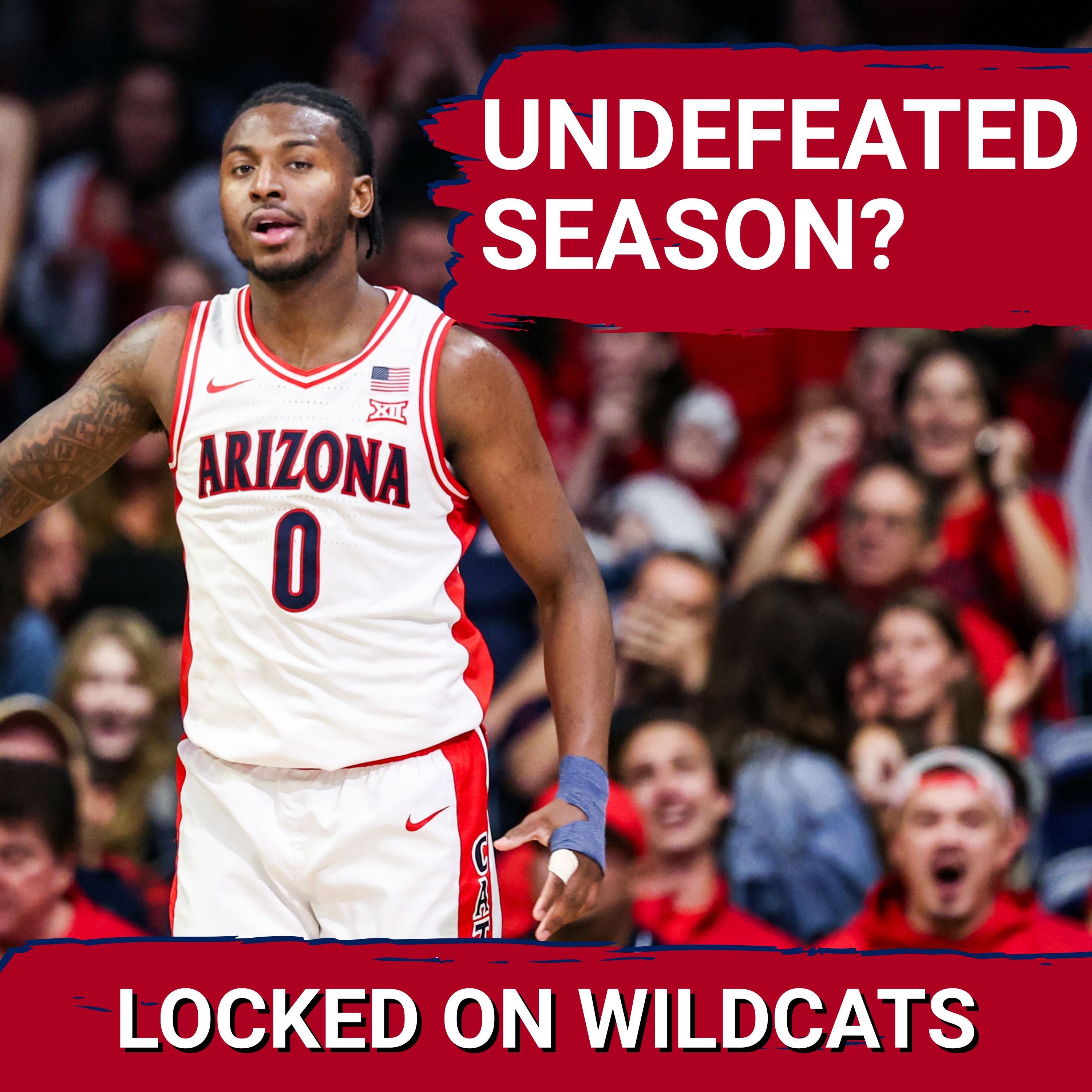 UNDEFEATED SEASON? How Great Can This Arizona Team Be in 2026?