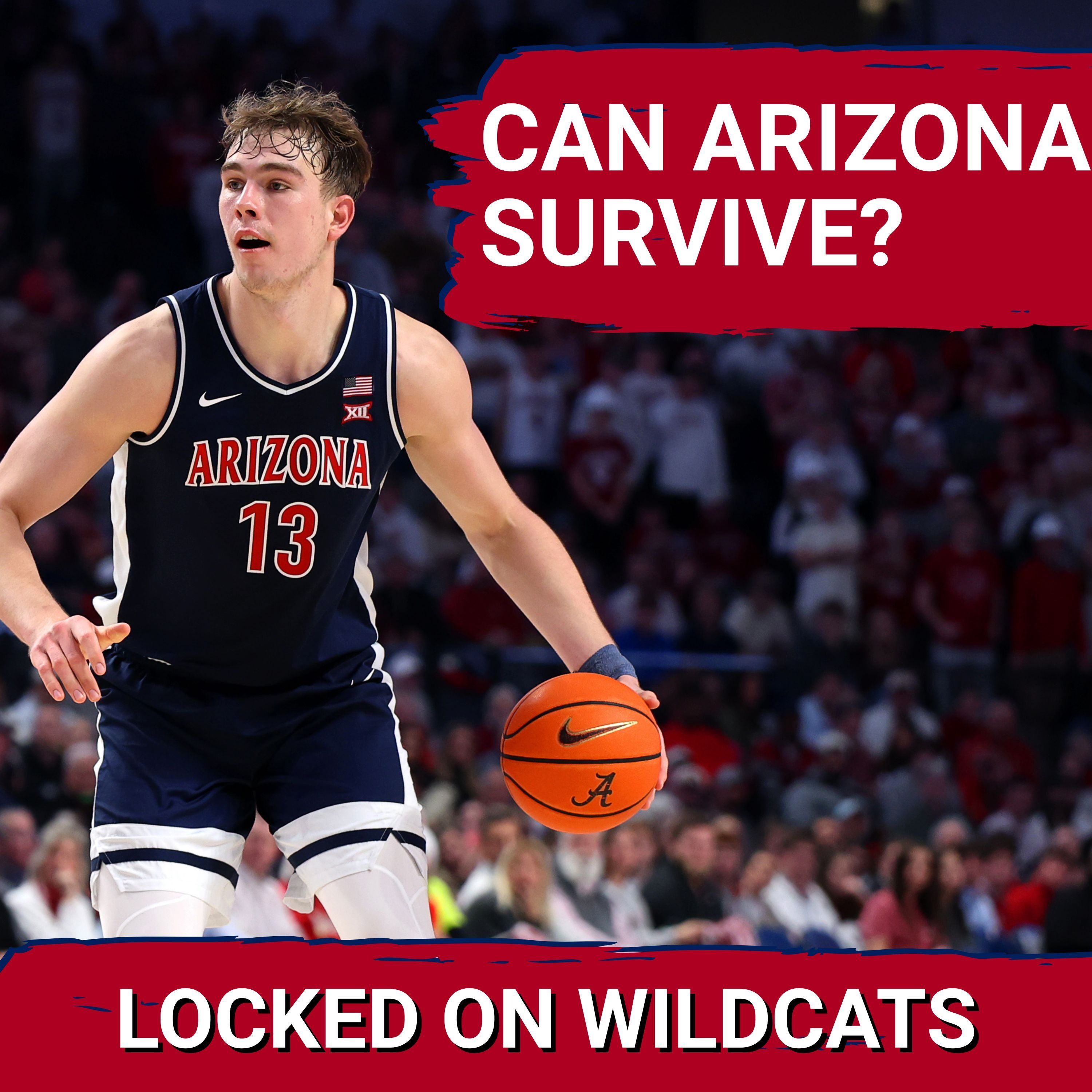 UPSET? Arizona Wildcats facing TRICKY TCU Horned Frogs squad, Mo Krivas must dominate the interior