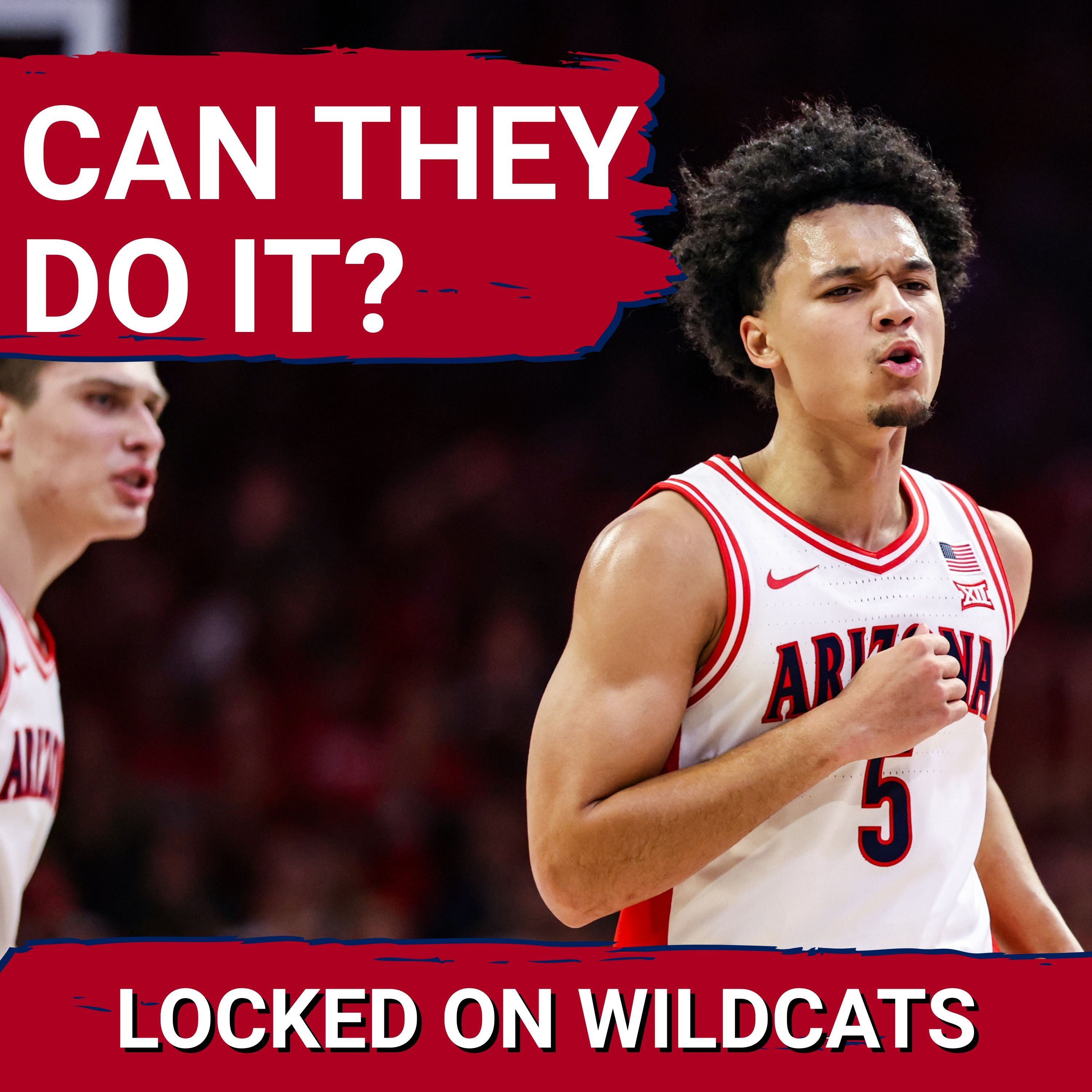 BOLD! Arizona Wildcats SHOULD win close game vs Alabama Crimson Tide