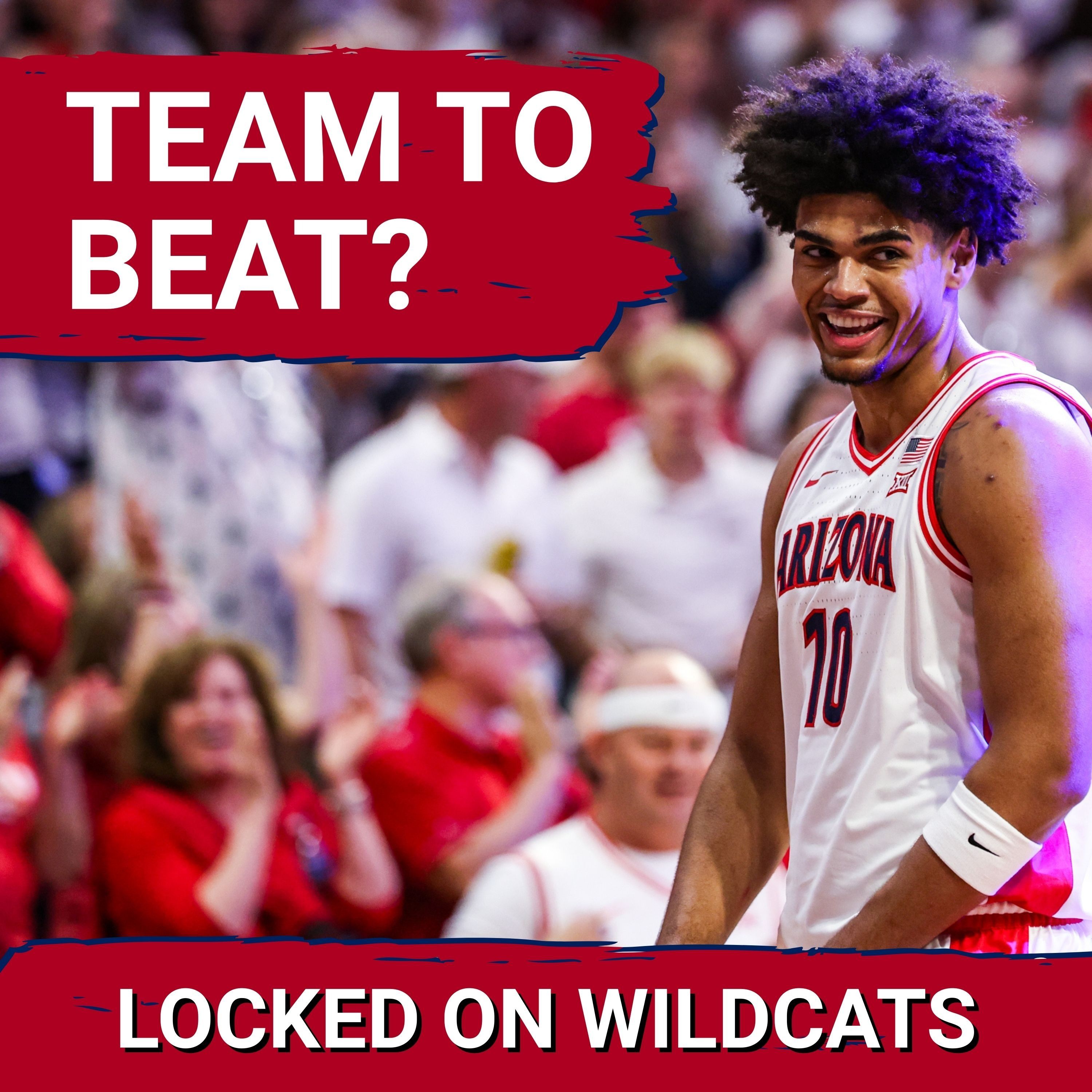 WOW: Fox Basketball Analyst WRONG About Michigan over Arizona Wildcats?! March Madness Predictions