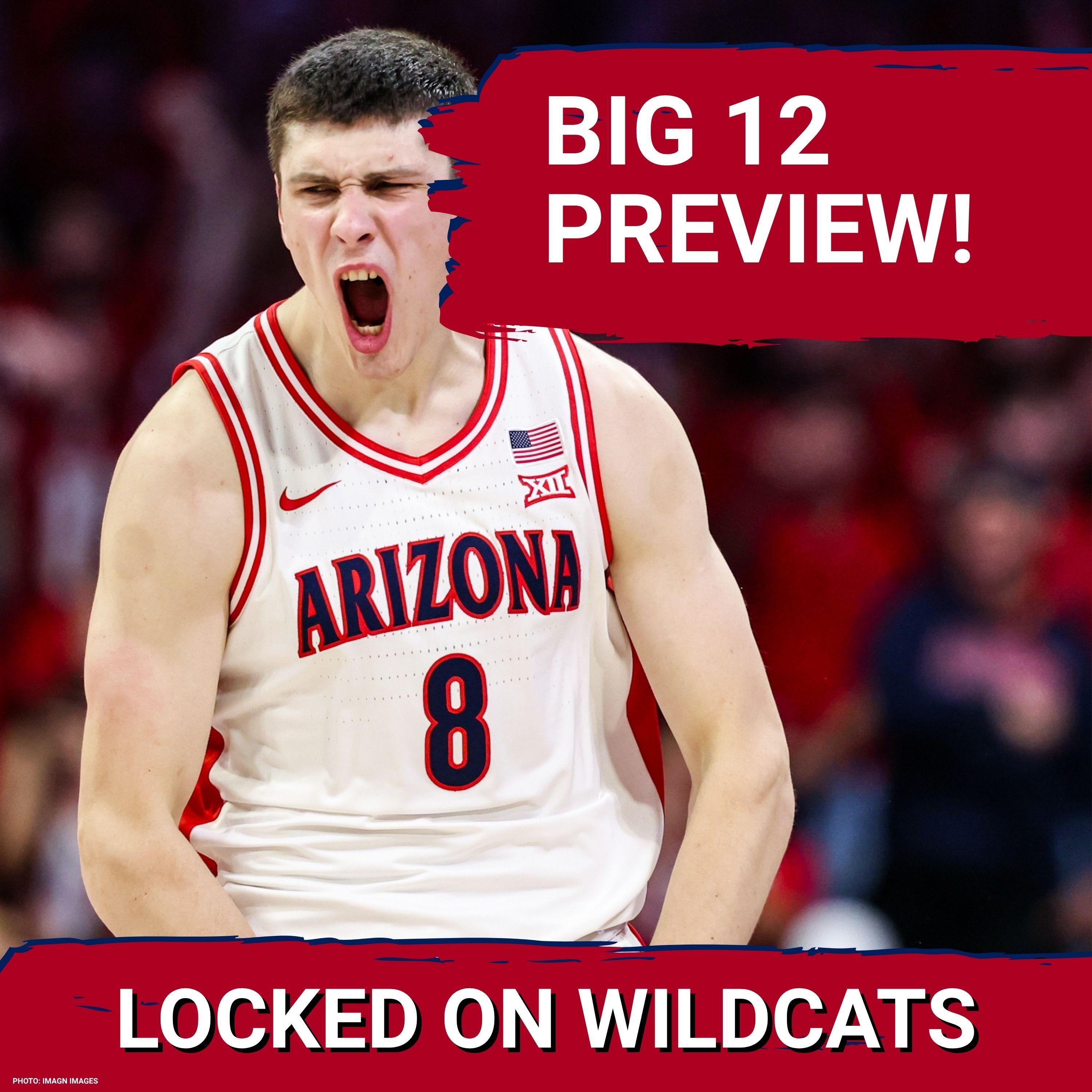 BIG 12 PREVIEW: KENPOM RANKS Houston Cougars and Arizona Wildcats as Big 12 TITANS - Who is BETTER? episode artwork