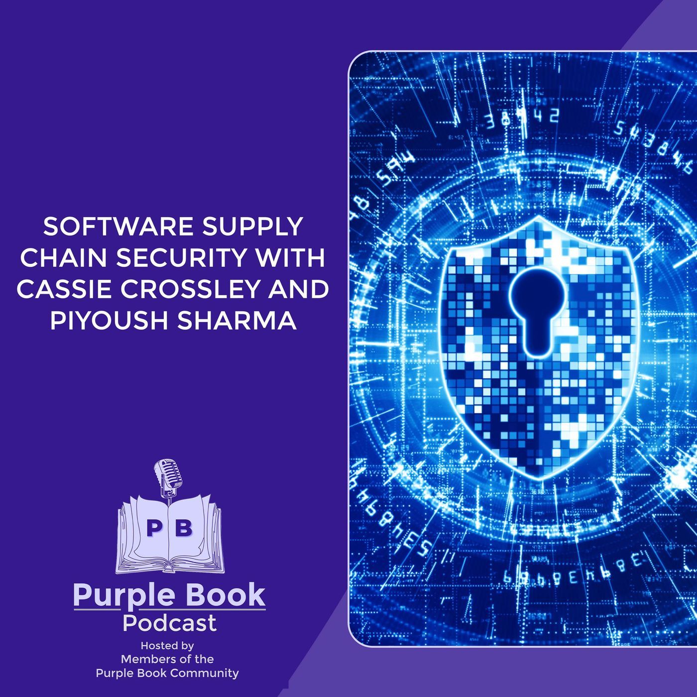 Software Supply Chain Security With Cassie Crossley And Piyoush Sharma episode artwork