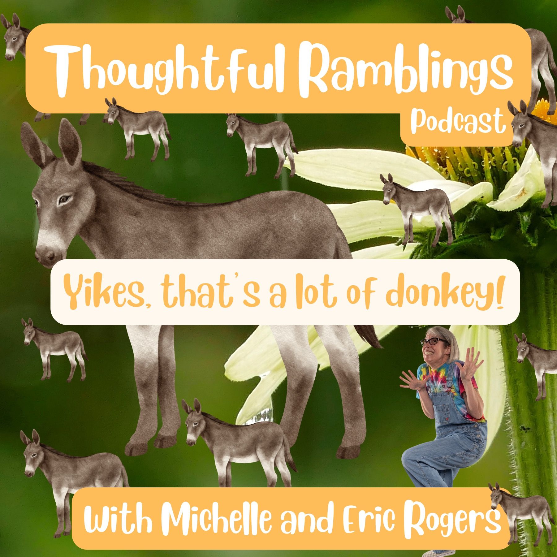 Yikes, that's a lot of donkey!
