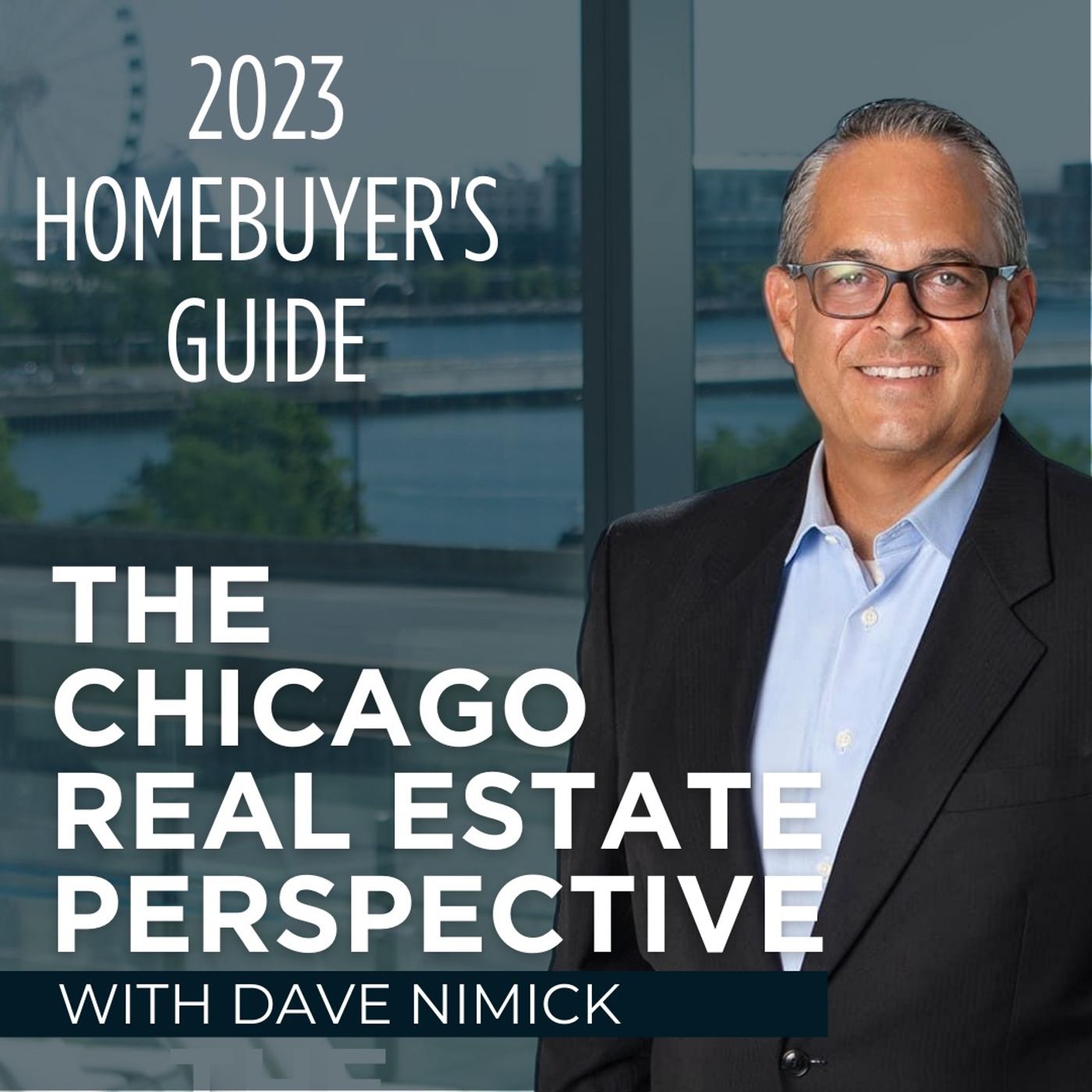 Chicago Real Estate Perspective