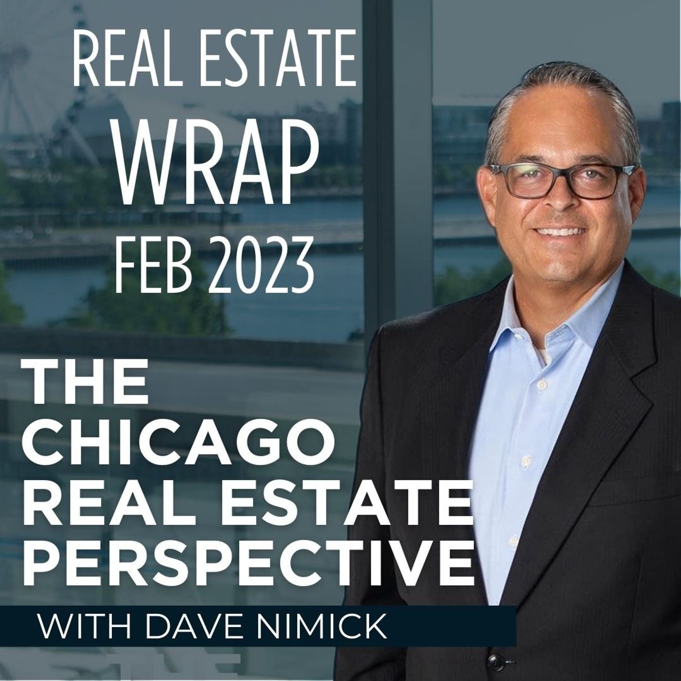 Chicago Real Estate Perspective