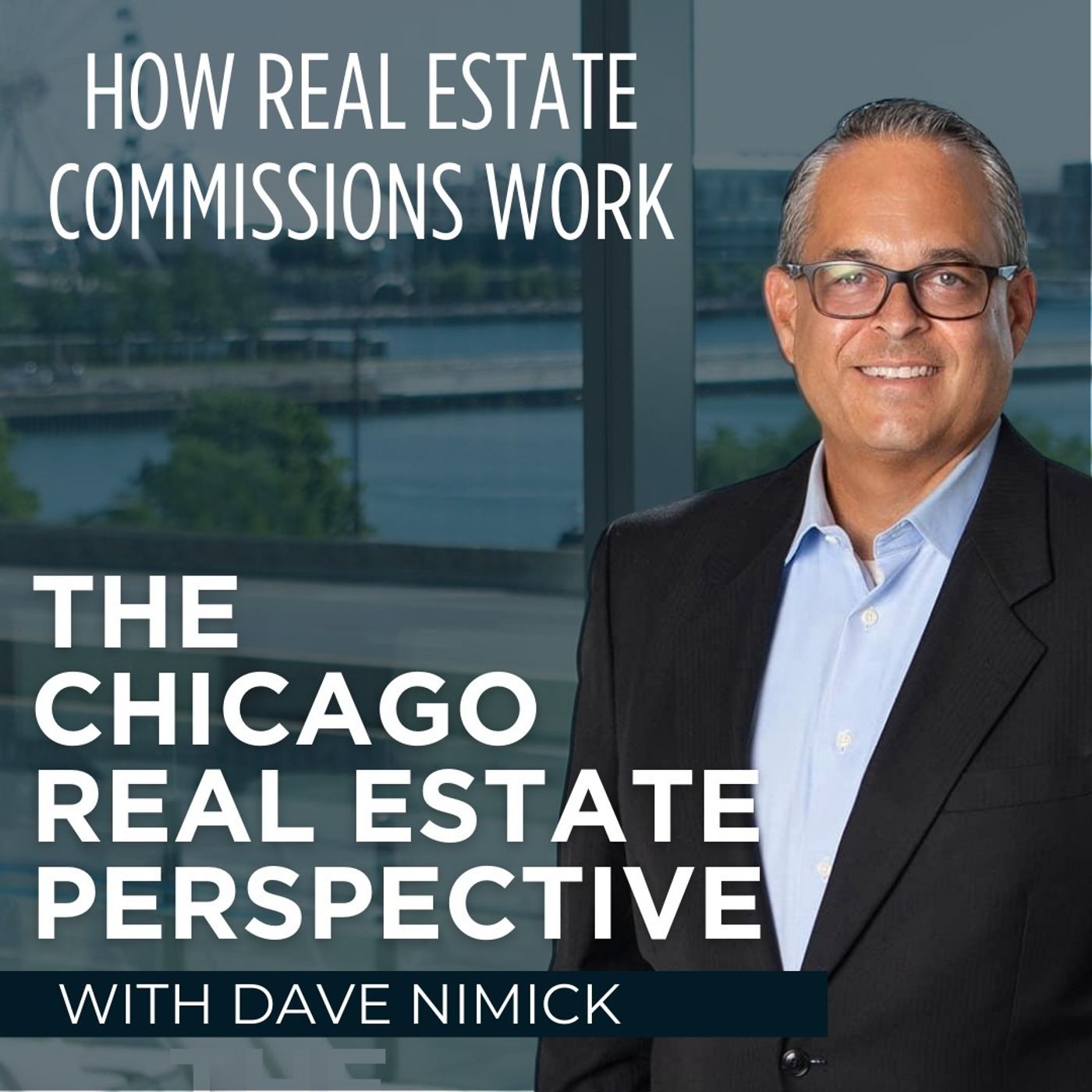 Chicago Real Estate Perspective