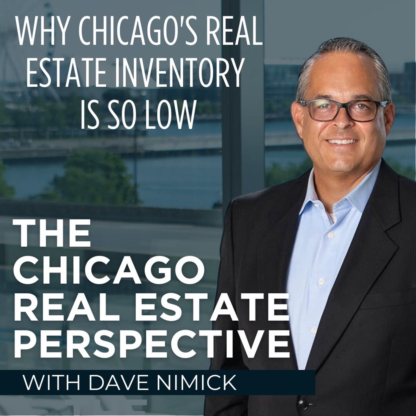Chicago Real Estate Perspective