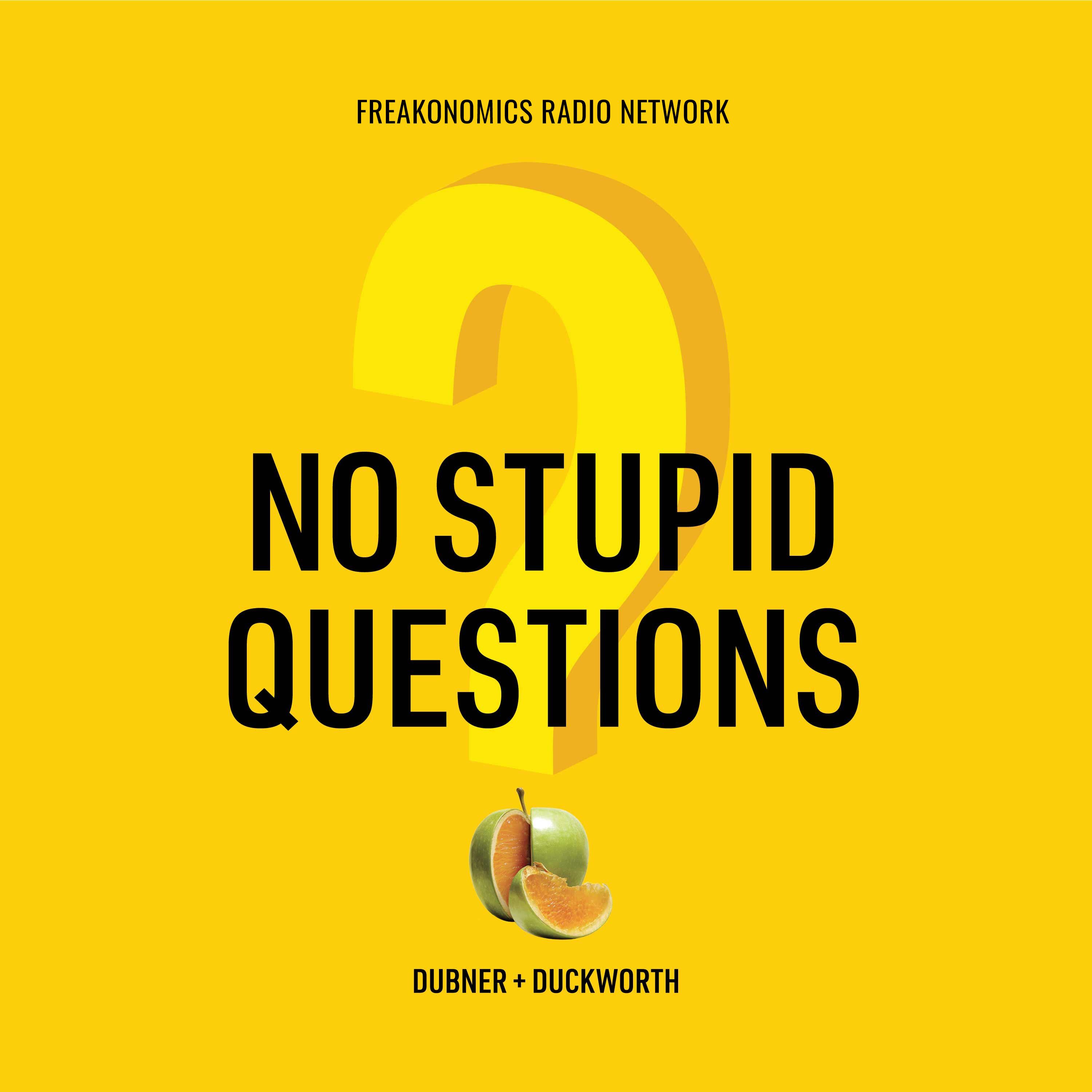 cover of episode Introducing "No Stupid Questions"