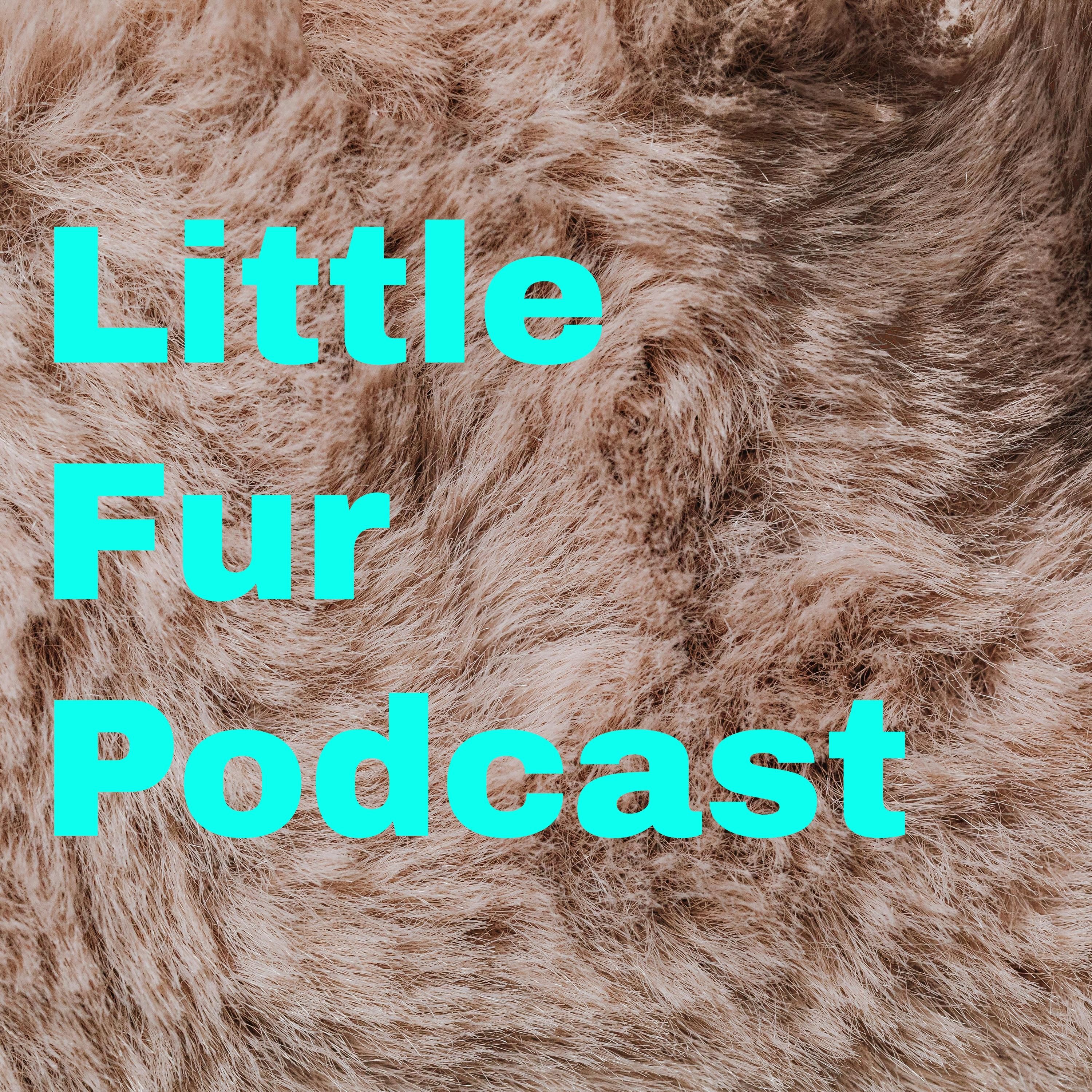 Little Fur Podcast