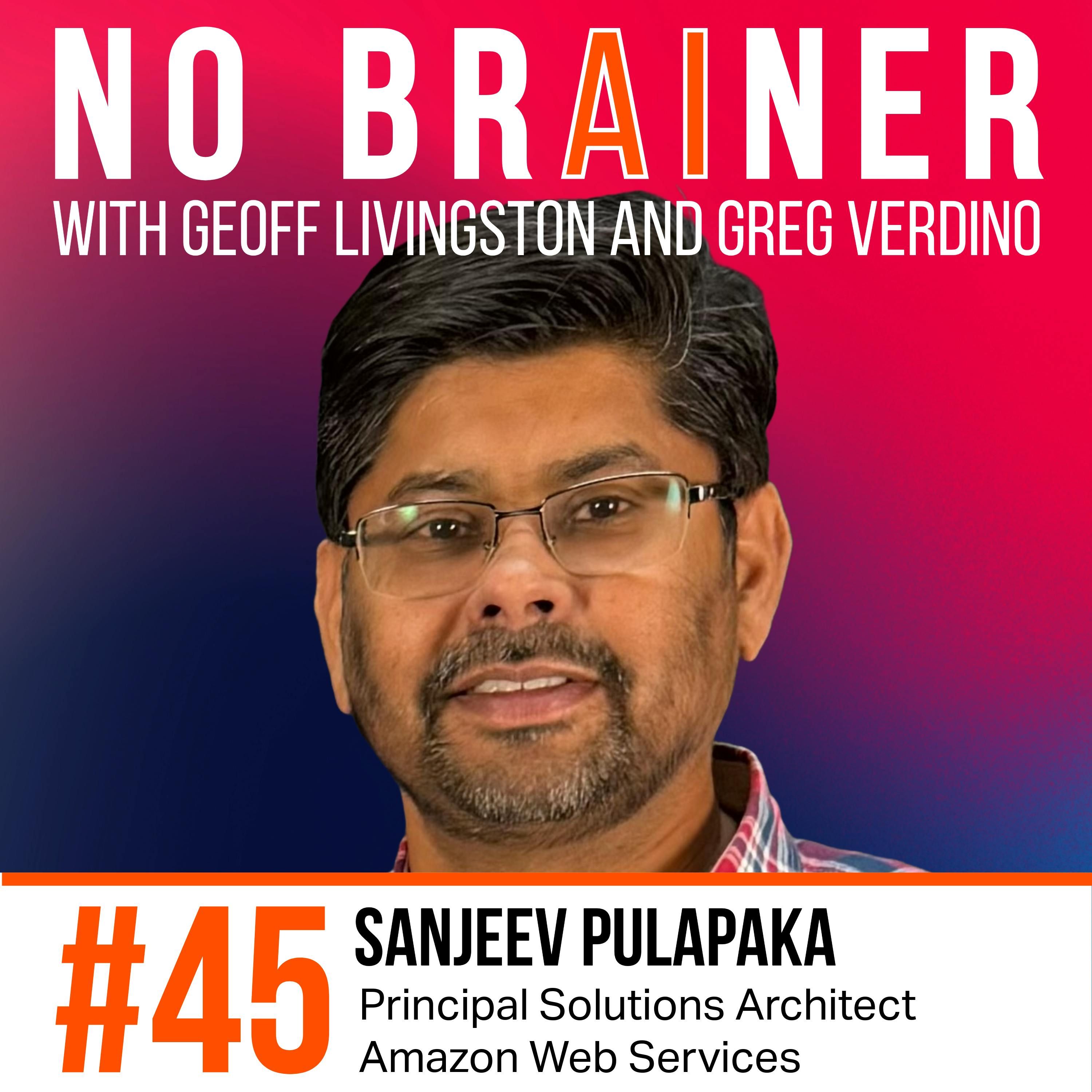 NB 45 – From RFPs to Revolution: How AI is Transforming Federal Operations with Sanjeev Pulapaka