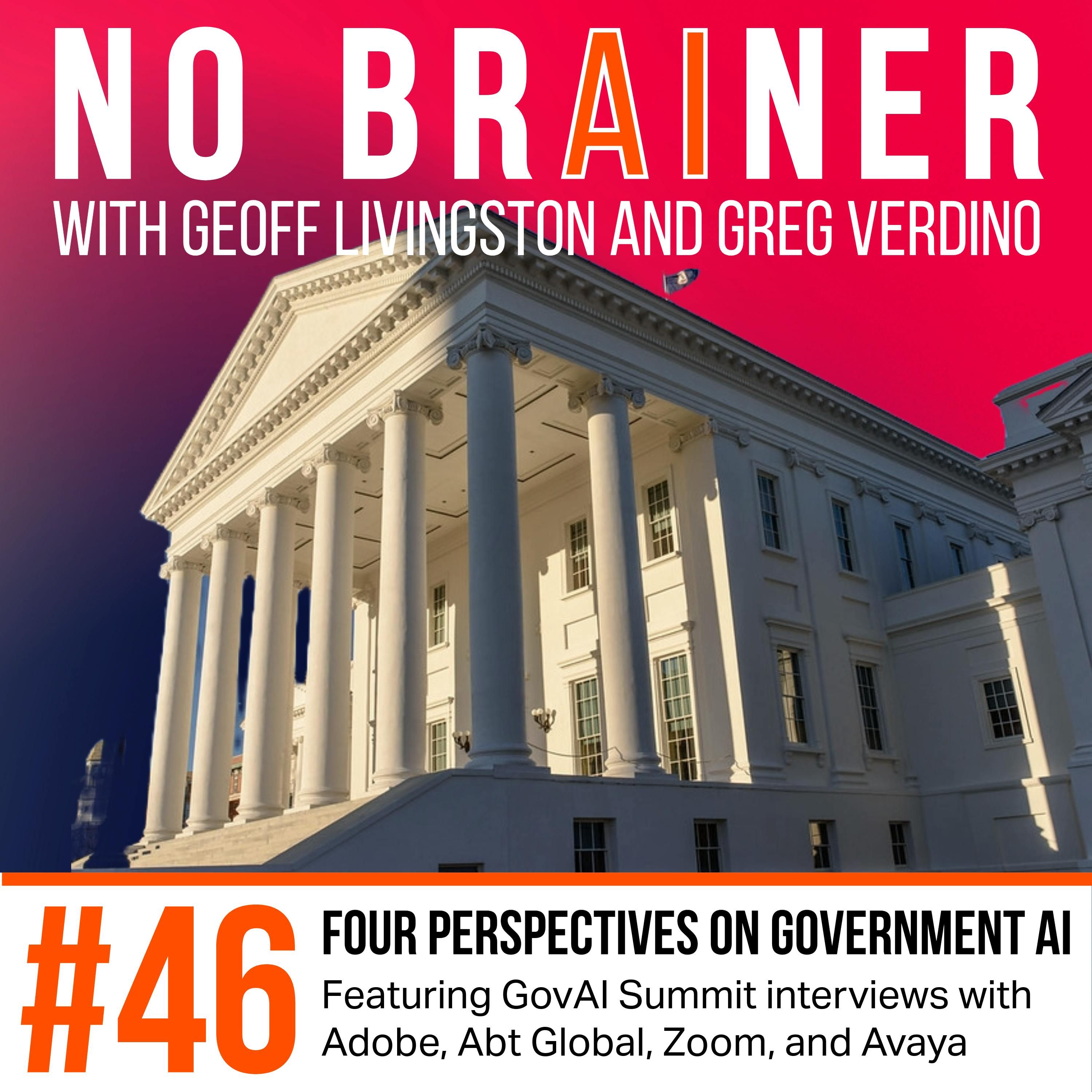NB46 – 4 Perspectives on Government AI