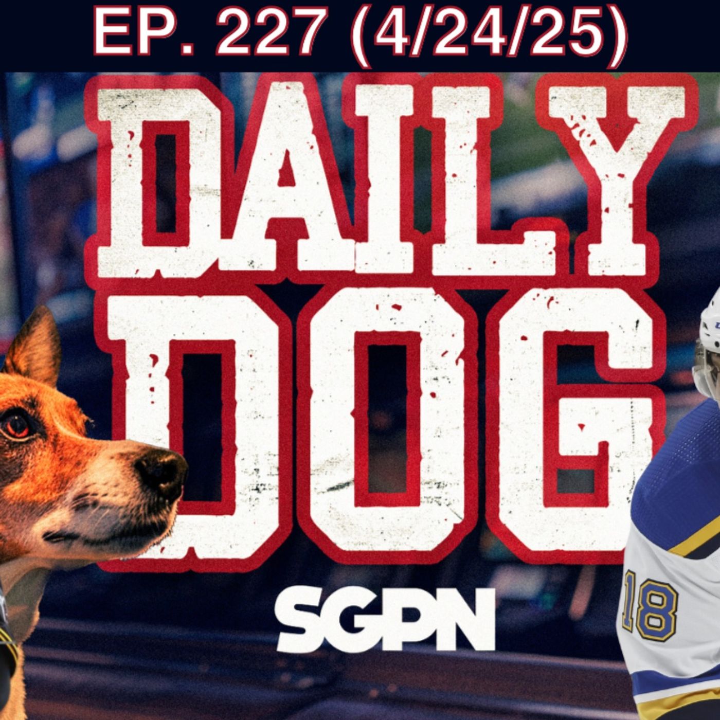 The Daily Dog