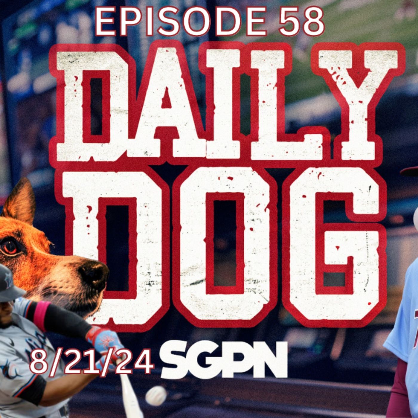 The Daily Dog