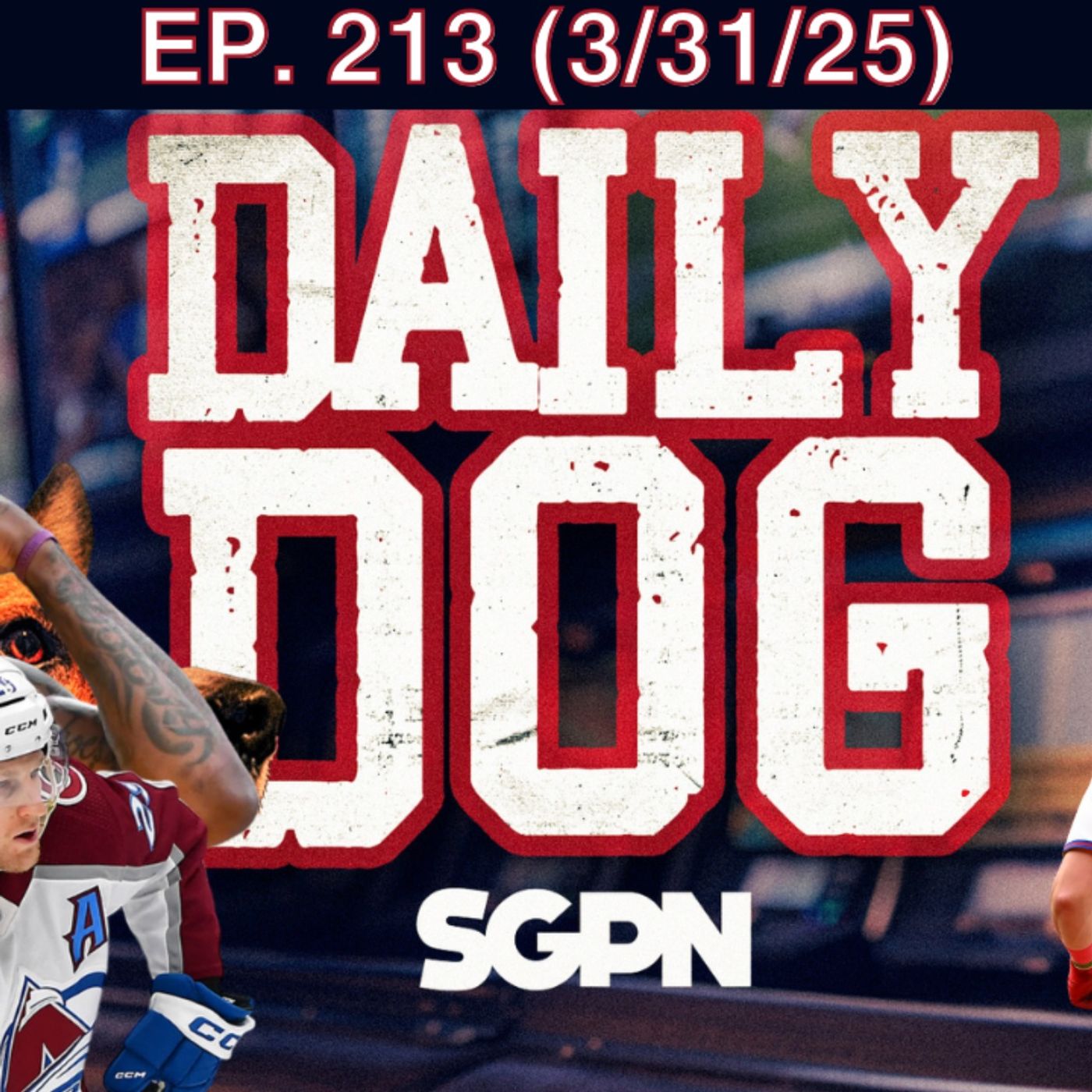 The Daily Dog