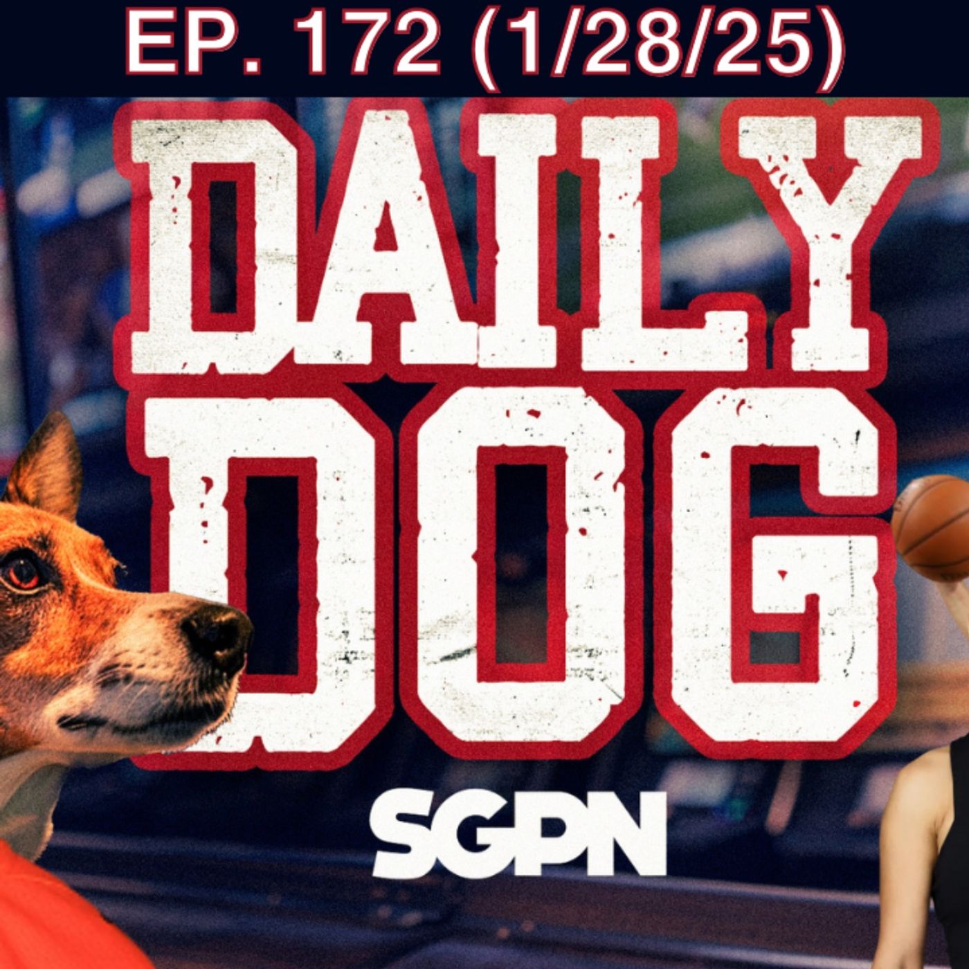The Daily Dog
