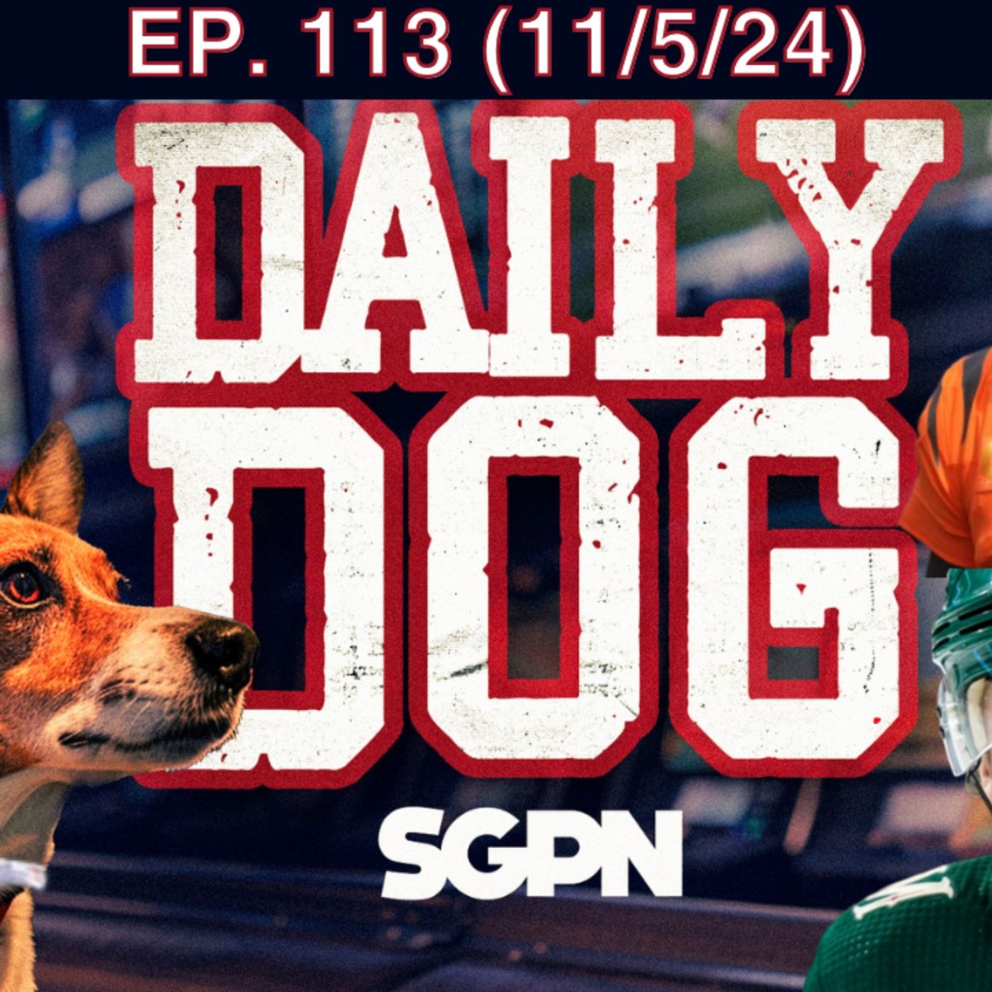 The Daily Dog [INACTIVE]