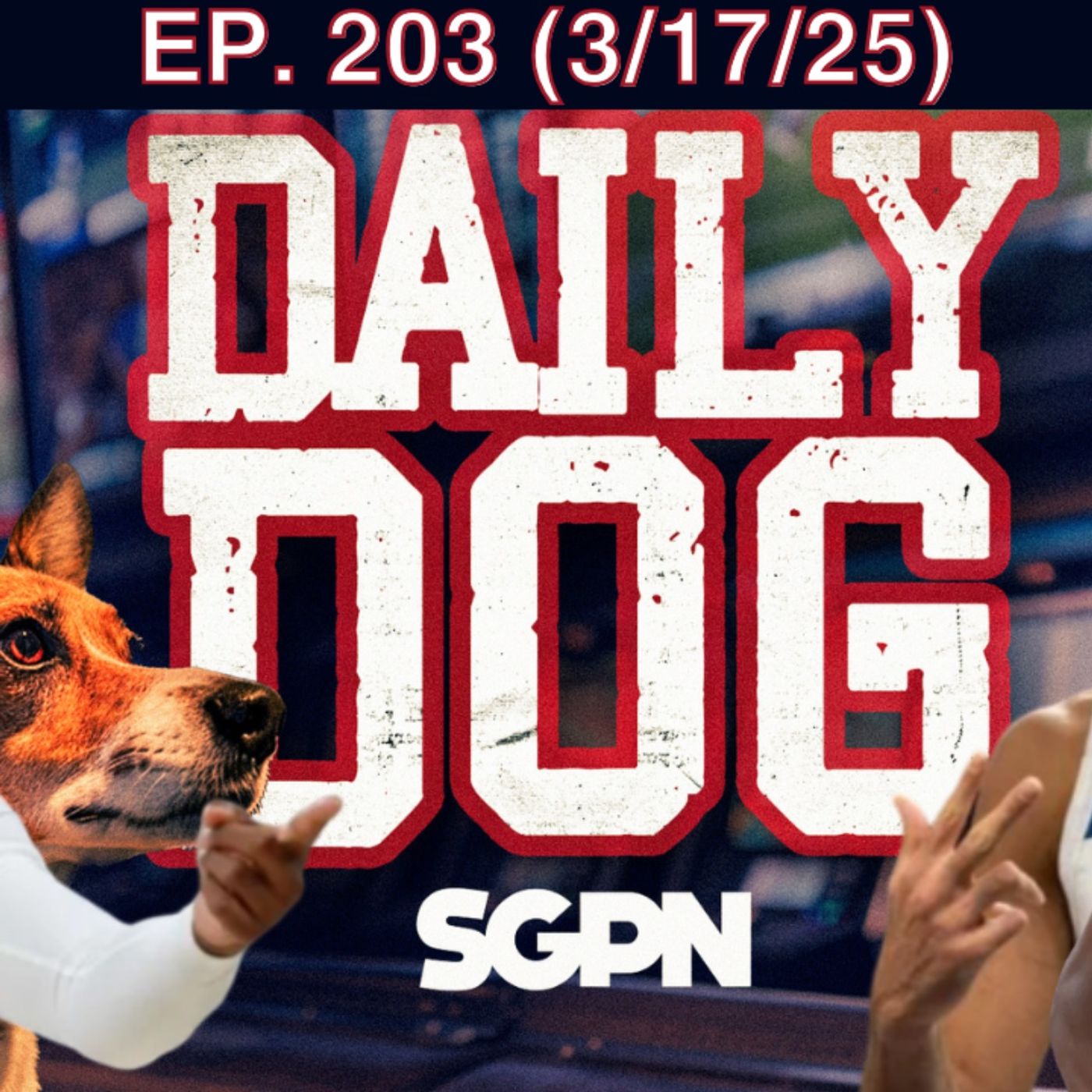 The Daily Dog