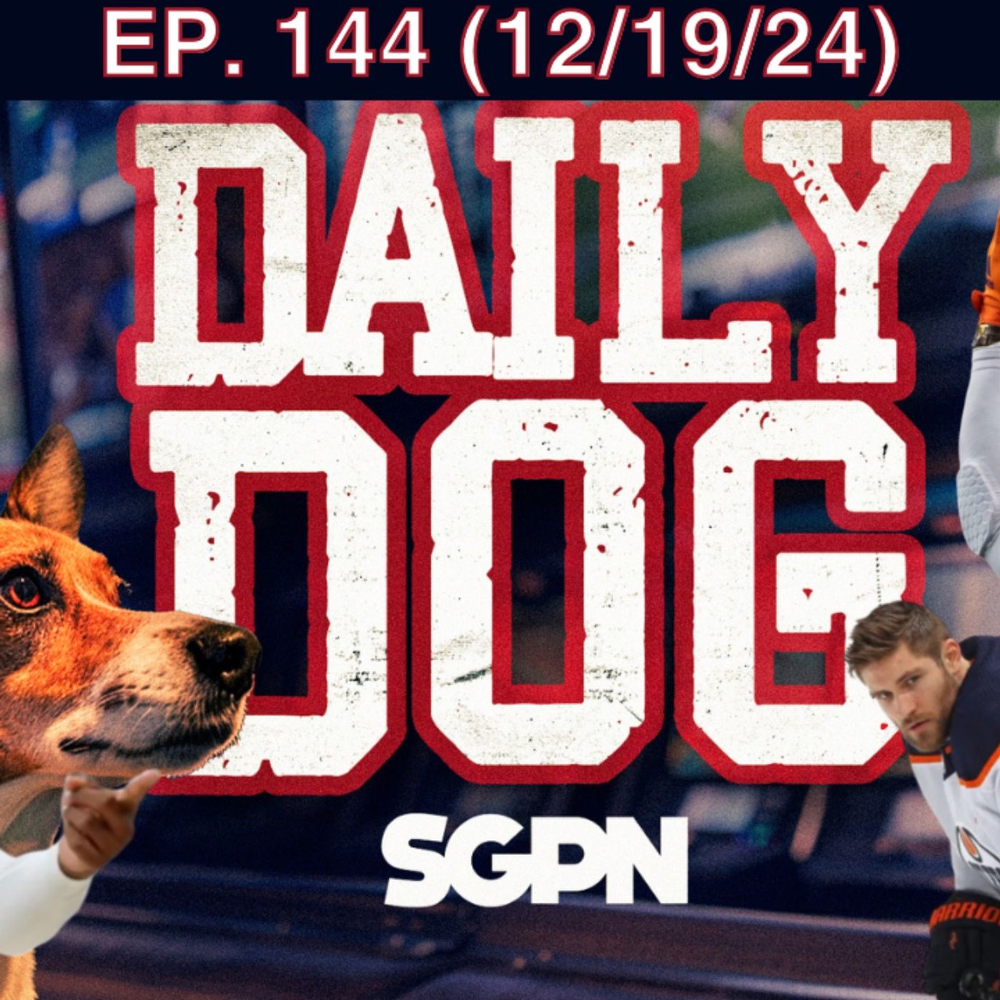 The Daily Dog