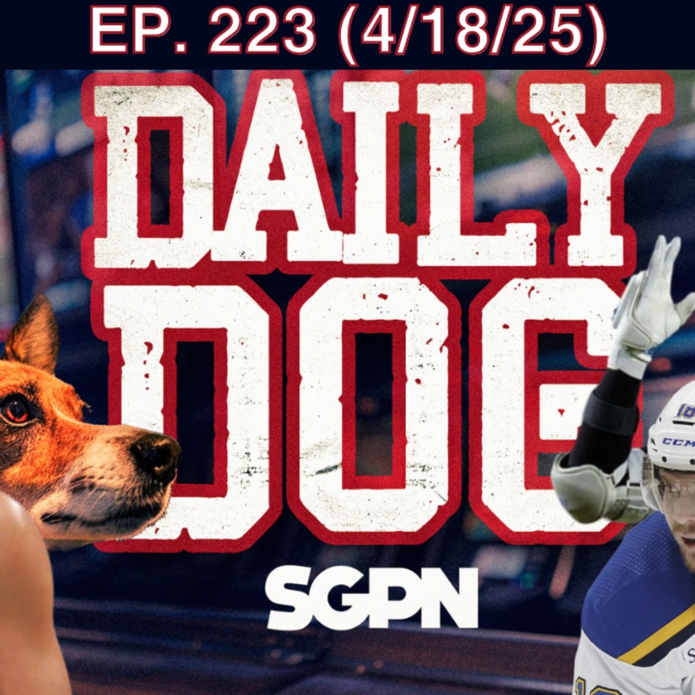 The Daily Dog