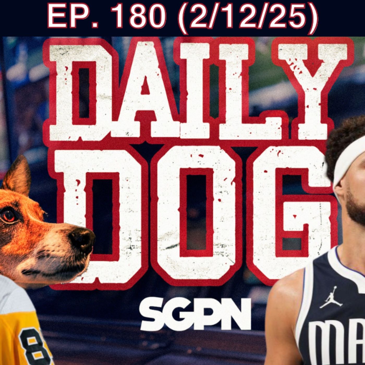 The Daily Dog