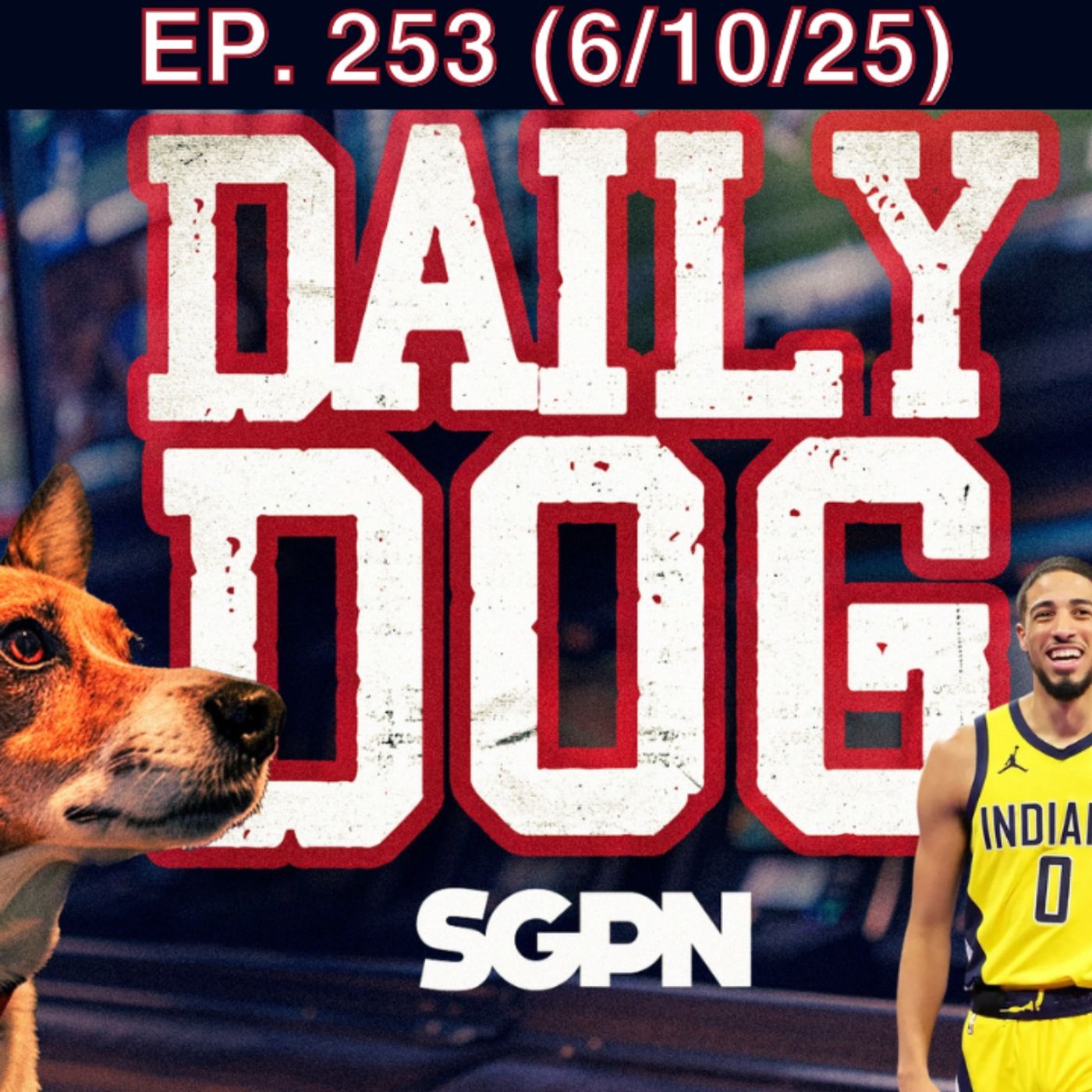 Sports Gambling Podcast Network