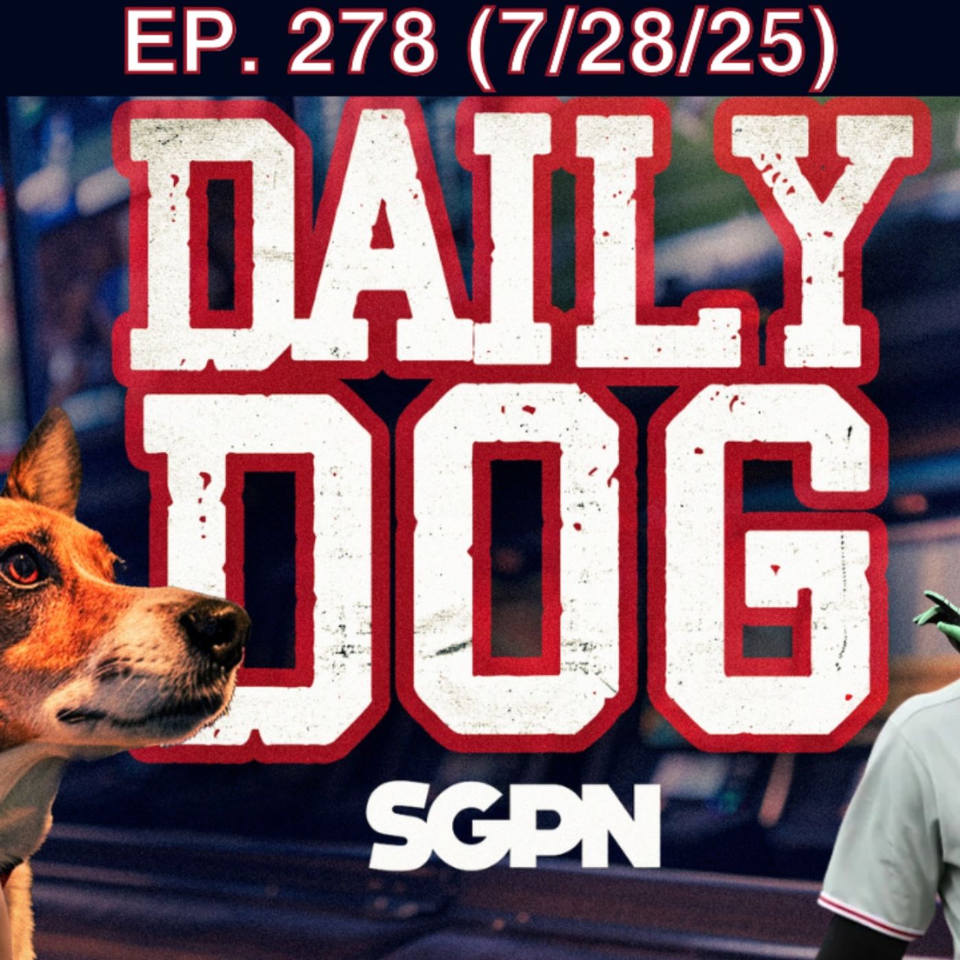 The Daily Dog