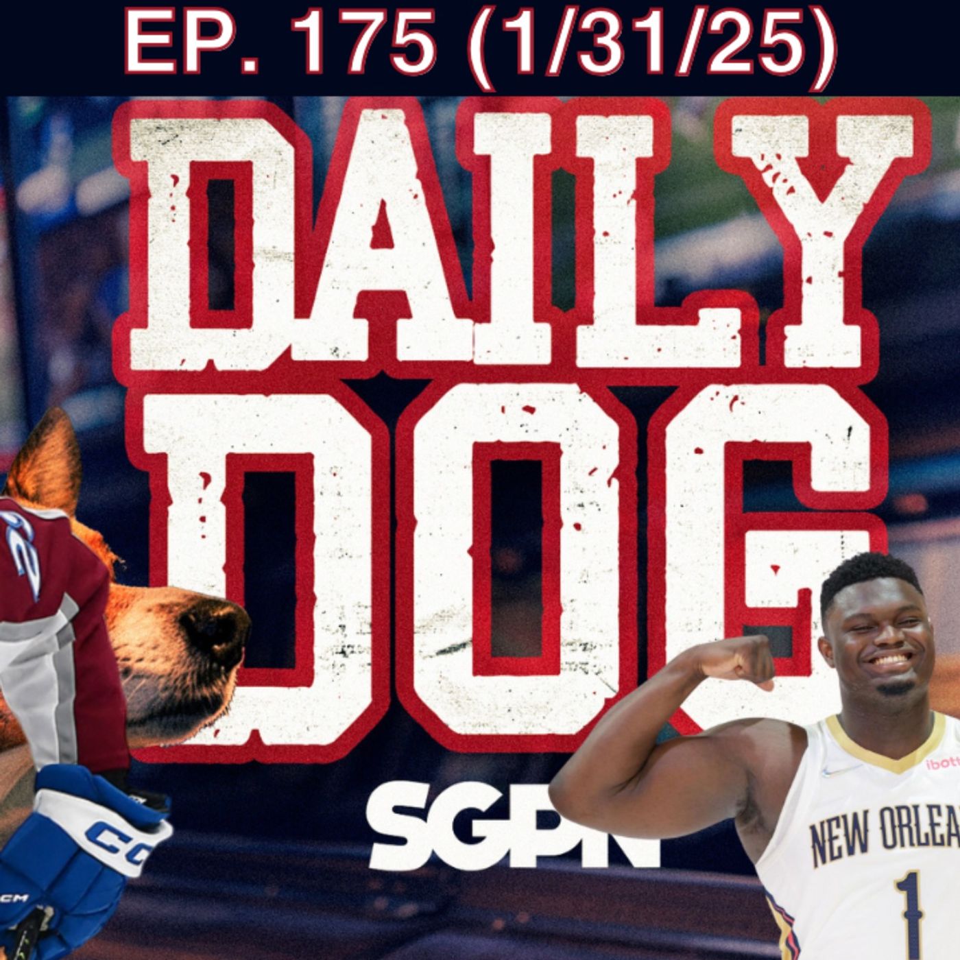 The Daily Dog