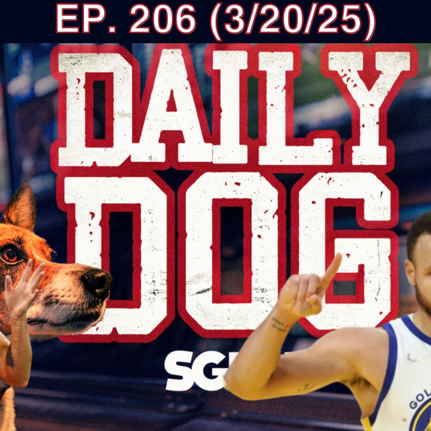 The Daily Dog