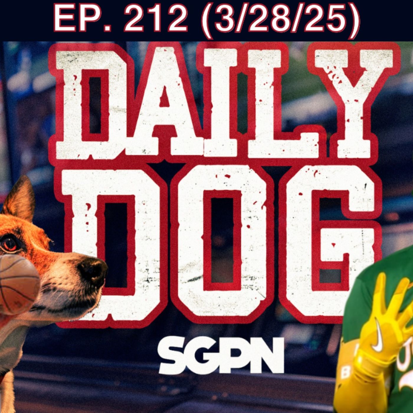 The Daily Dog