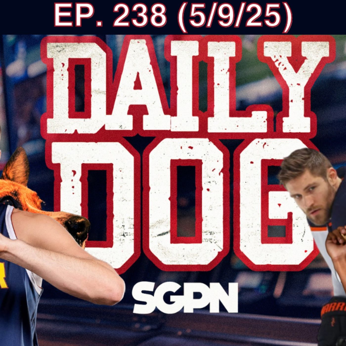 The Daily Dog