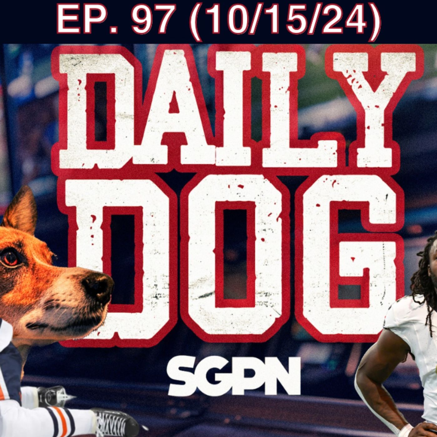 The Daily Dog
