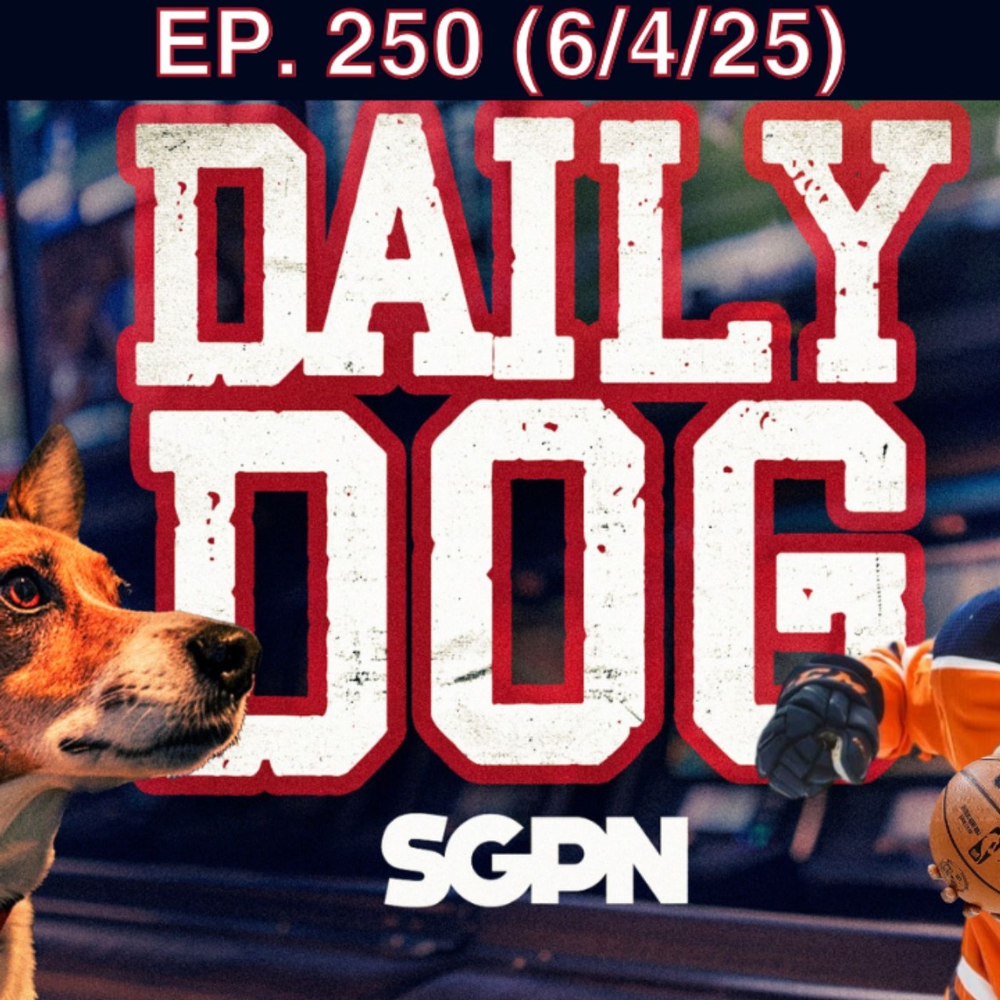 Underdog Picks for Wednesday (6/4) | THE DAILY DOG (Ep.250)