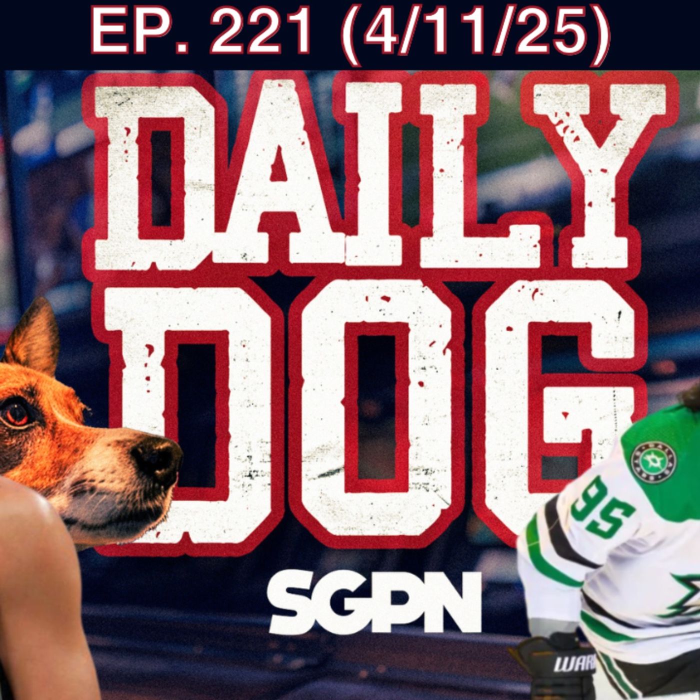 The Daily Dog