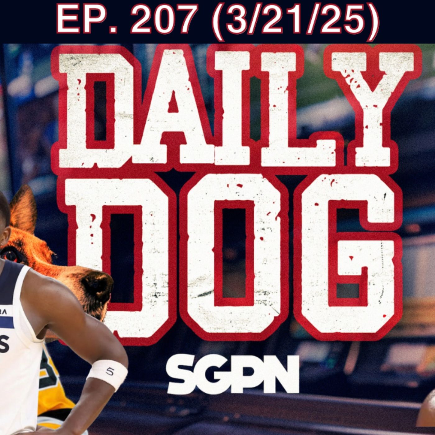 The Daily Dog