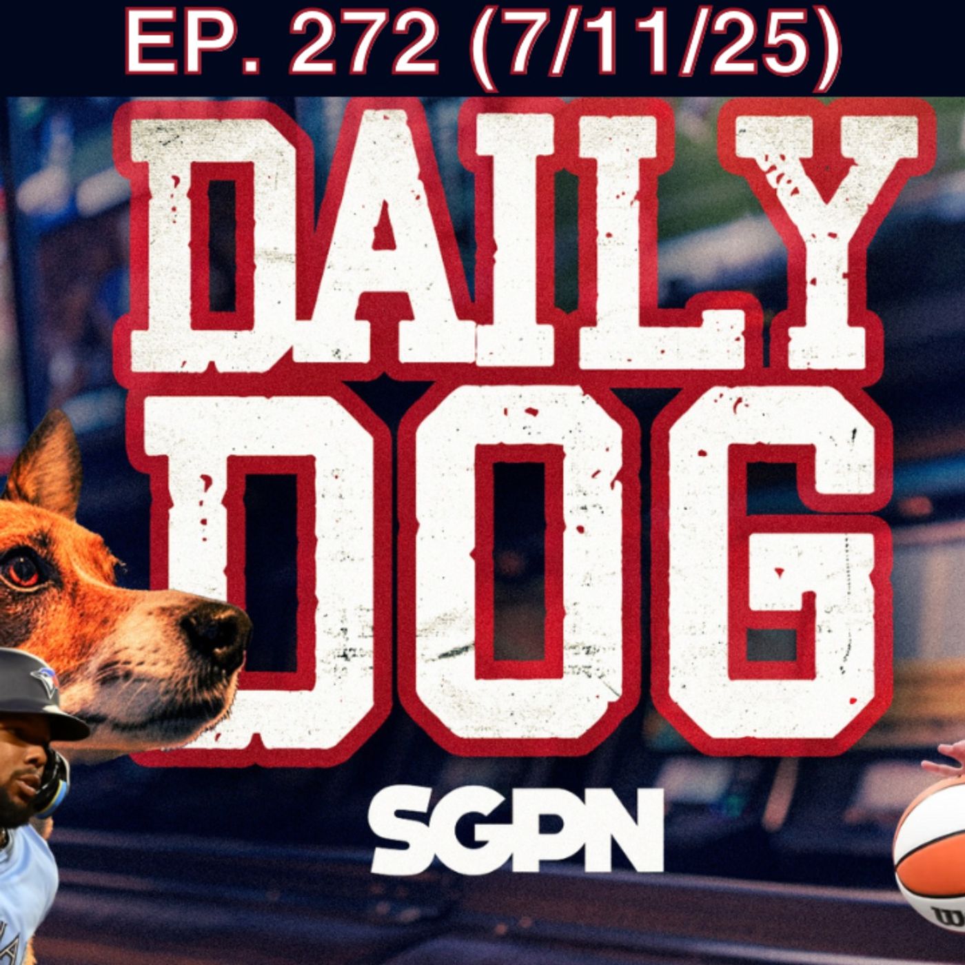 The Daily Dog
