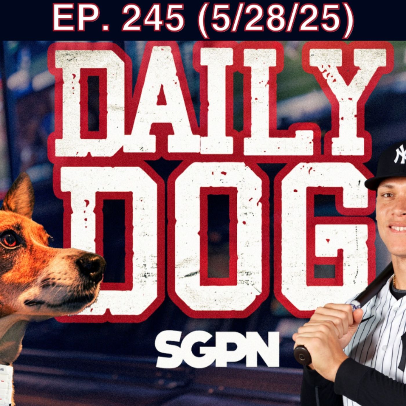Sports Gambling Podcast Network